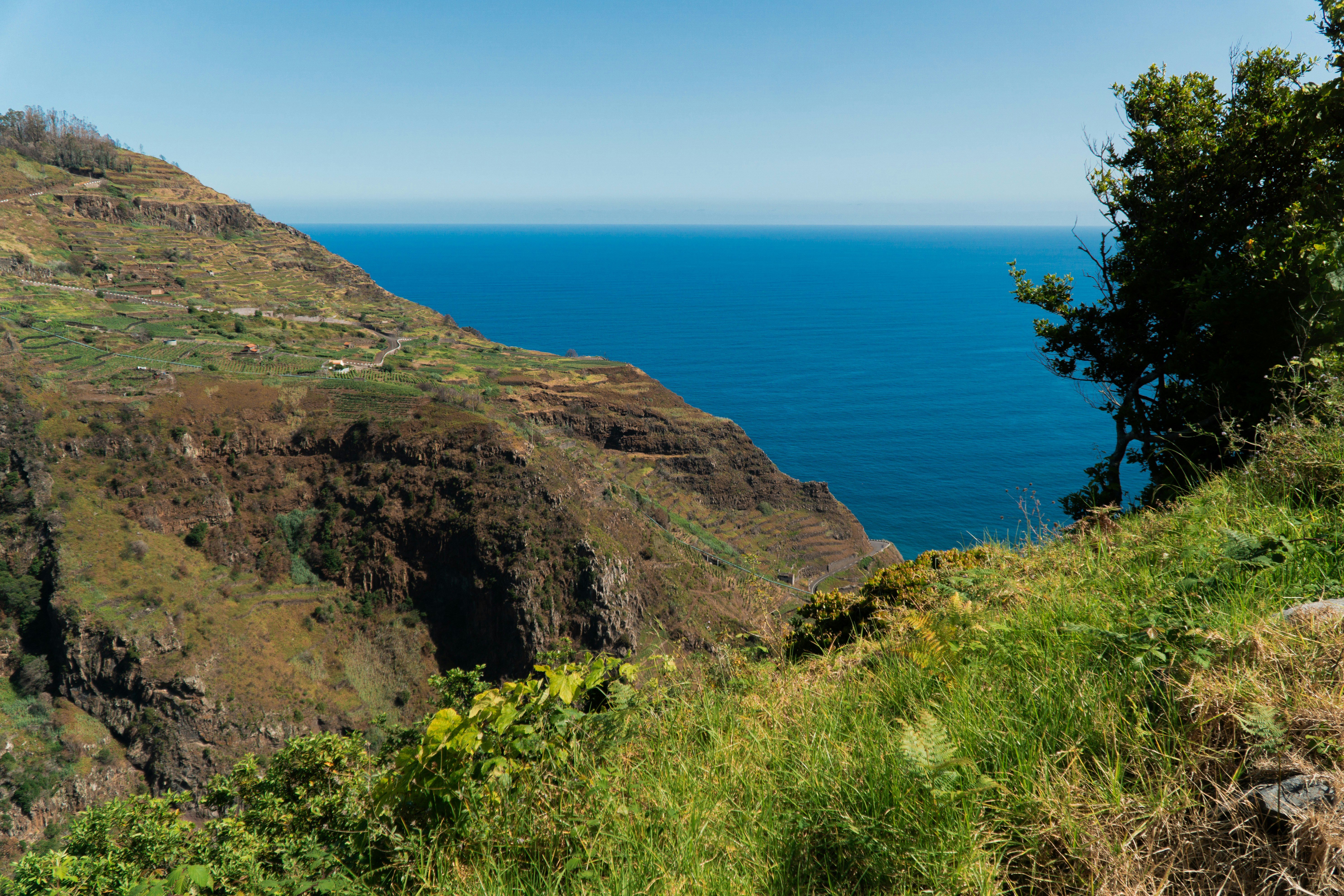 Photo by fanjatastisch