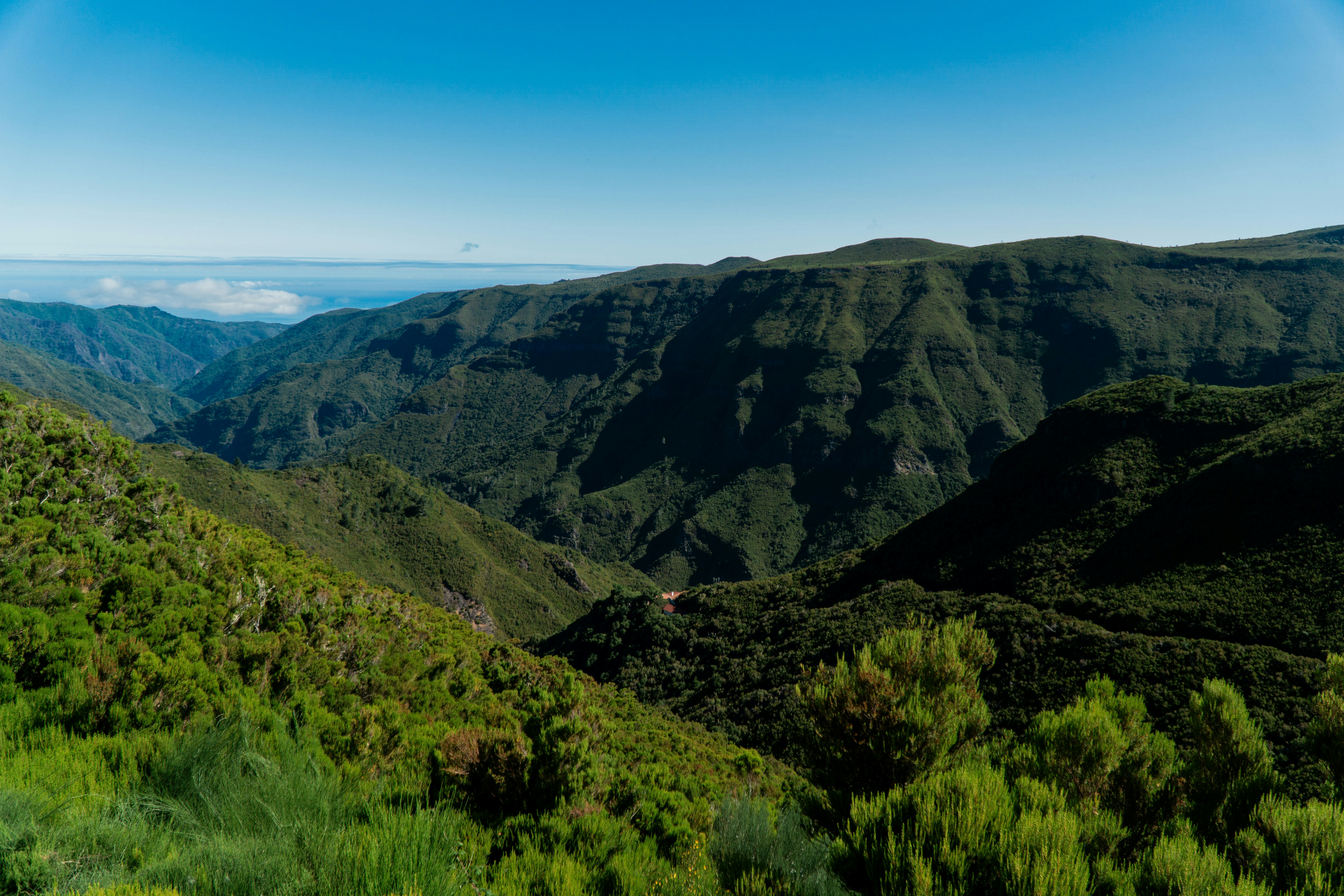 Photo by fanjatastisch