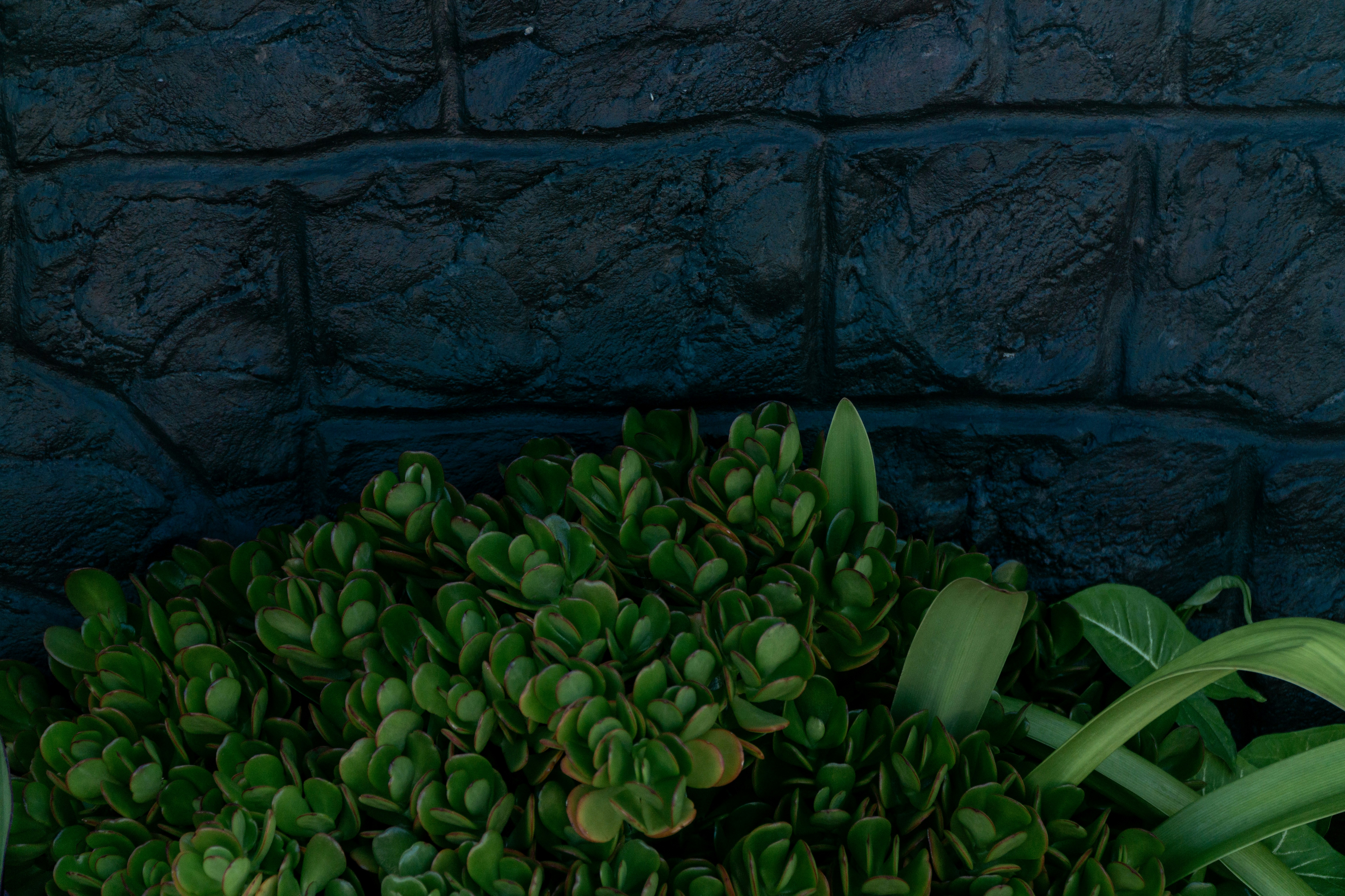 Photo by fanjatastisch