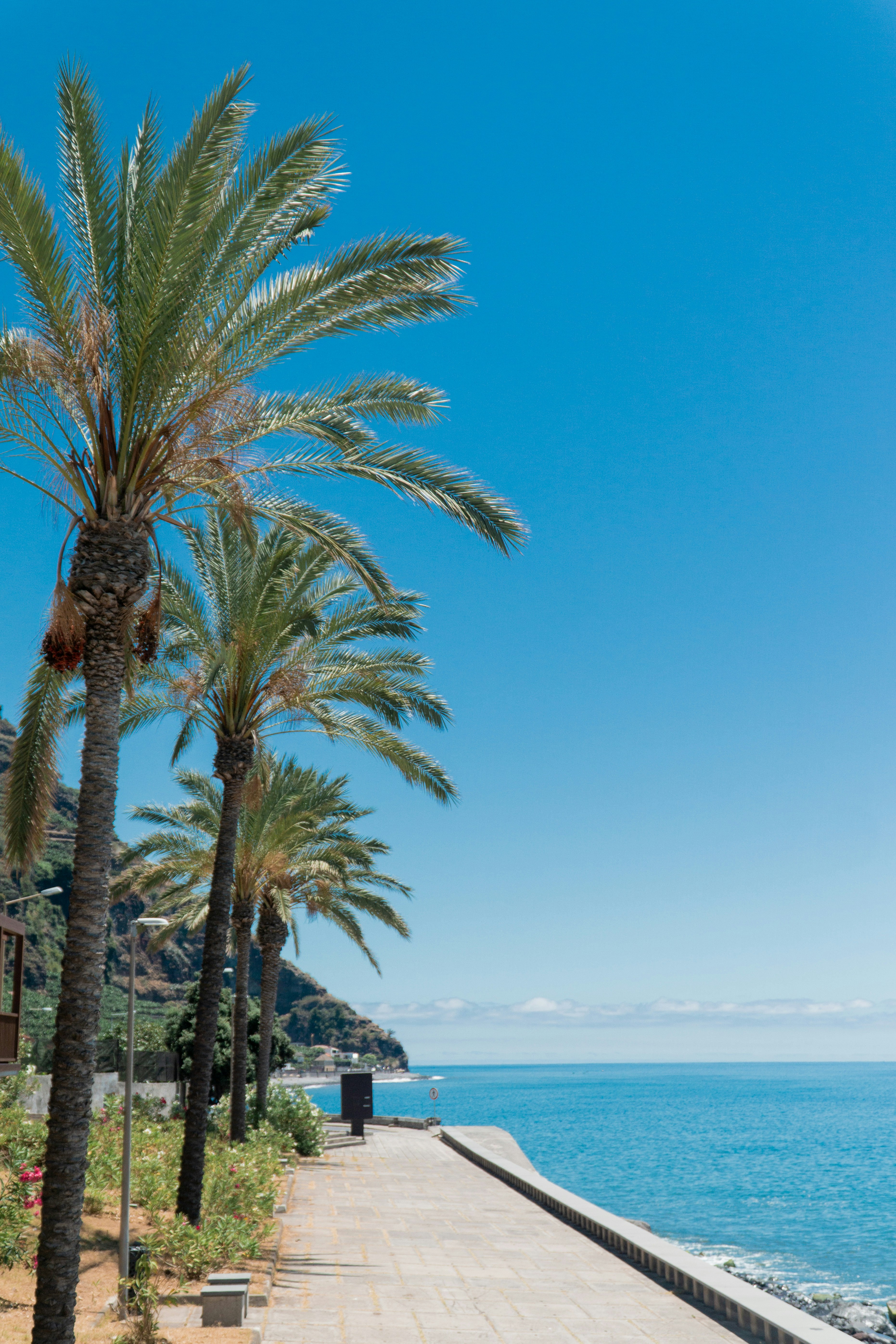 Photo by fanjatastisch