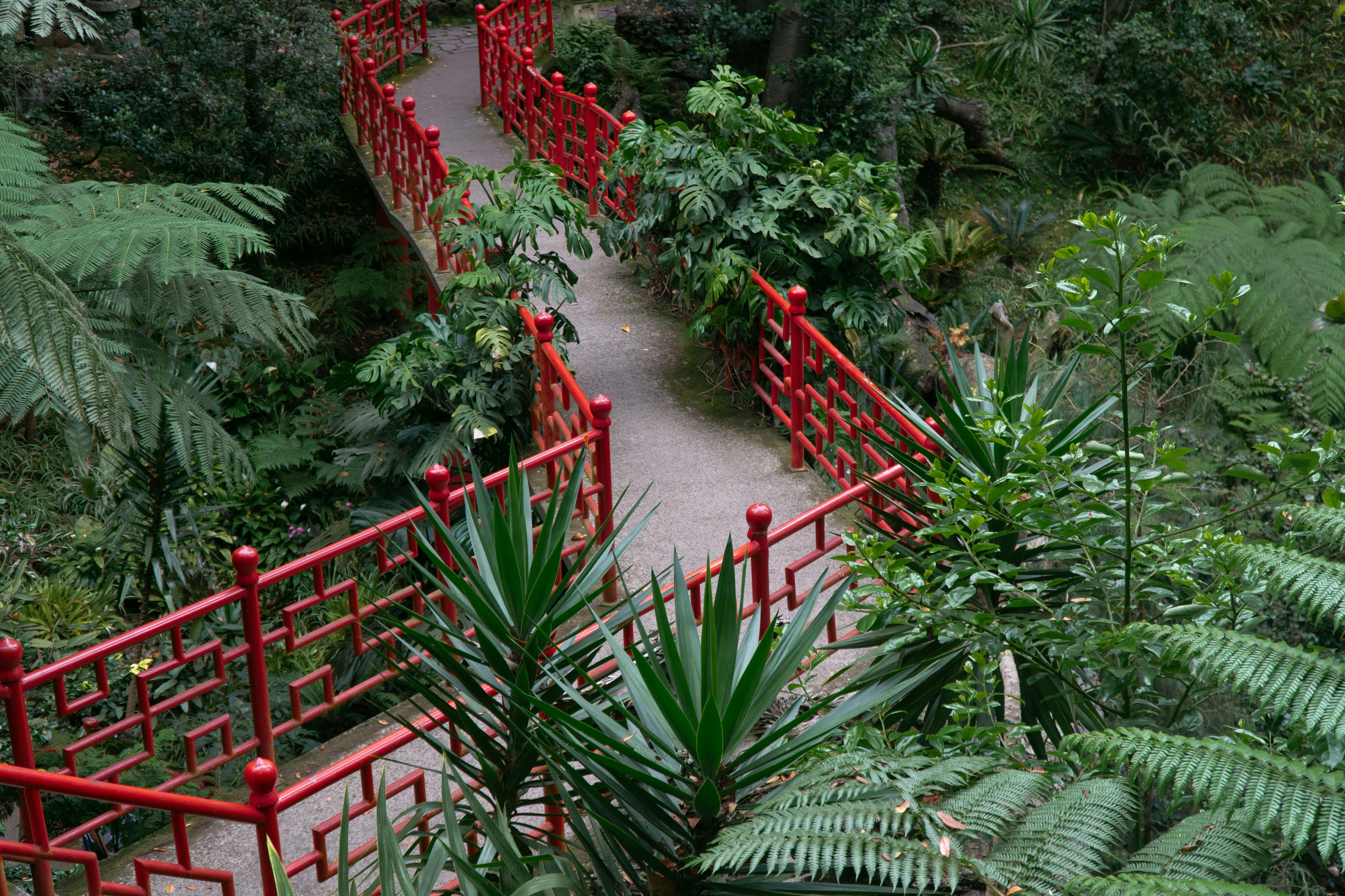 Stop image for Taos Adventure Loop: 3 Days of Family & Nature Escapes - A red bridge over a lush green forest -  in Southwest USA - Photo by Anja Junghans on Unsplash