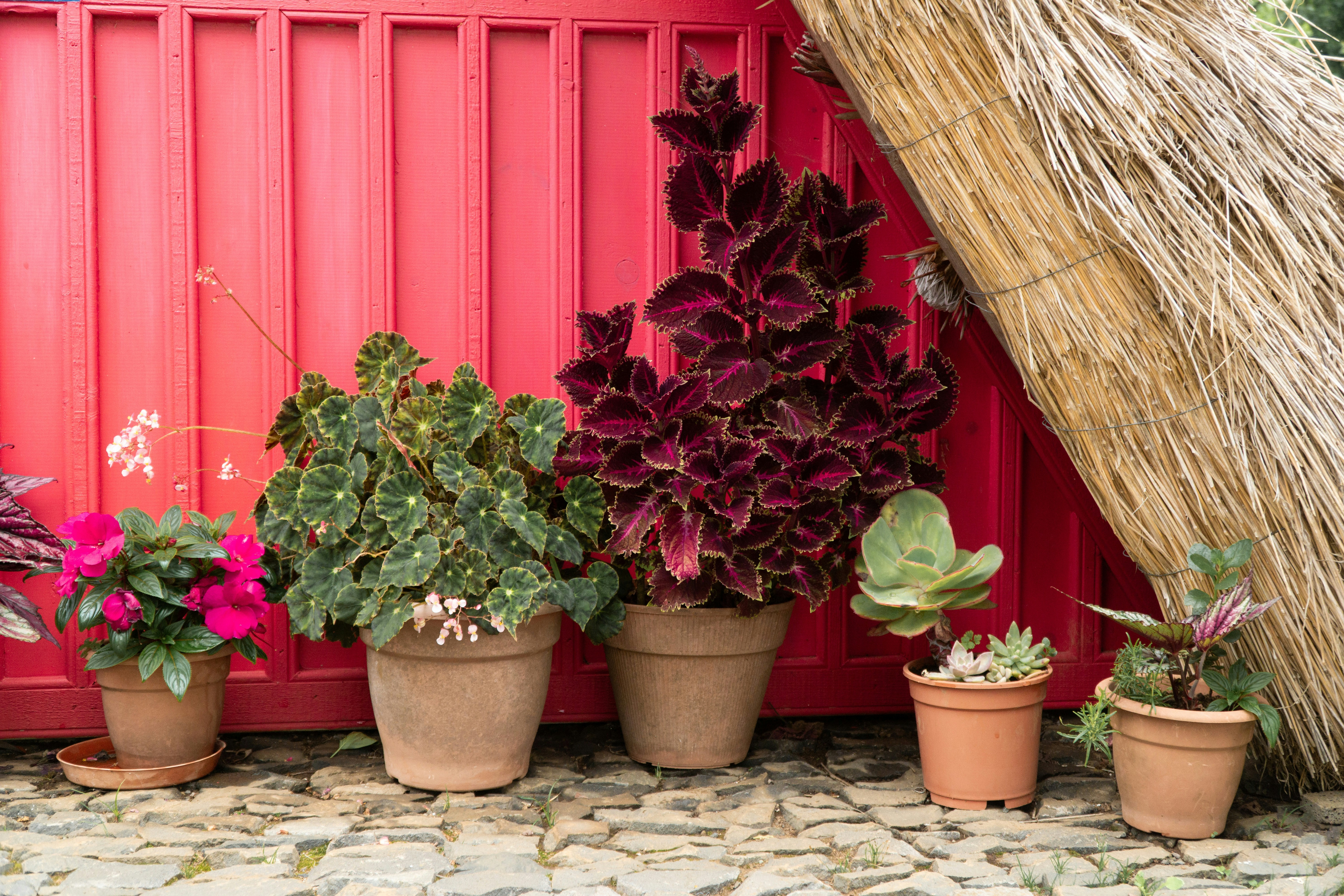 Photo by fanjatastisch