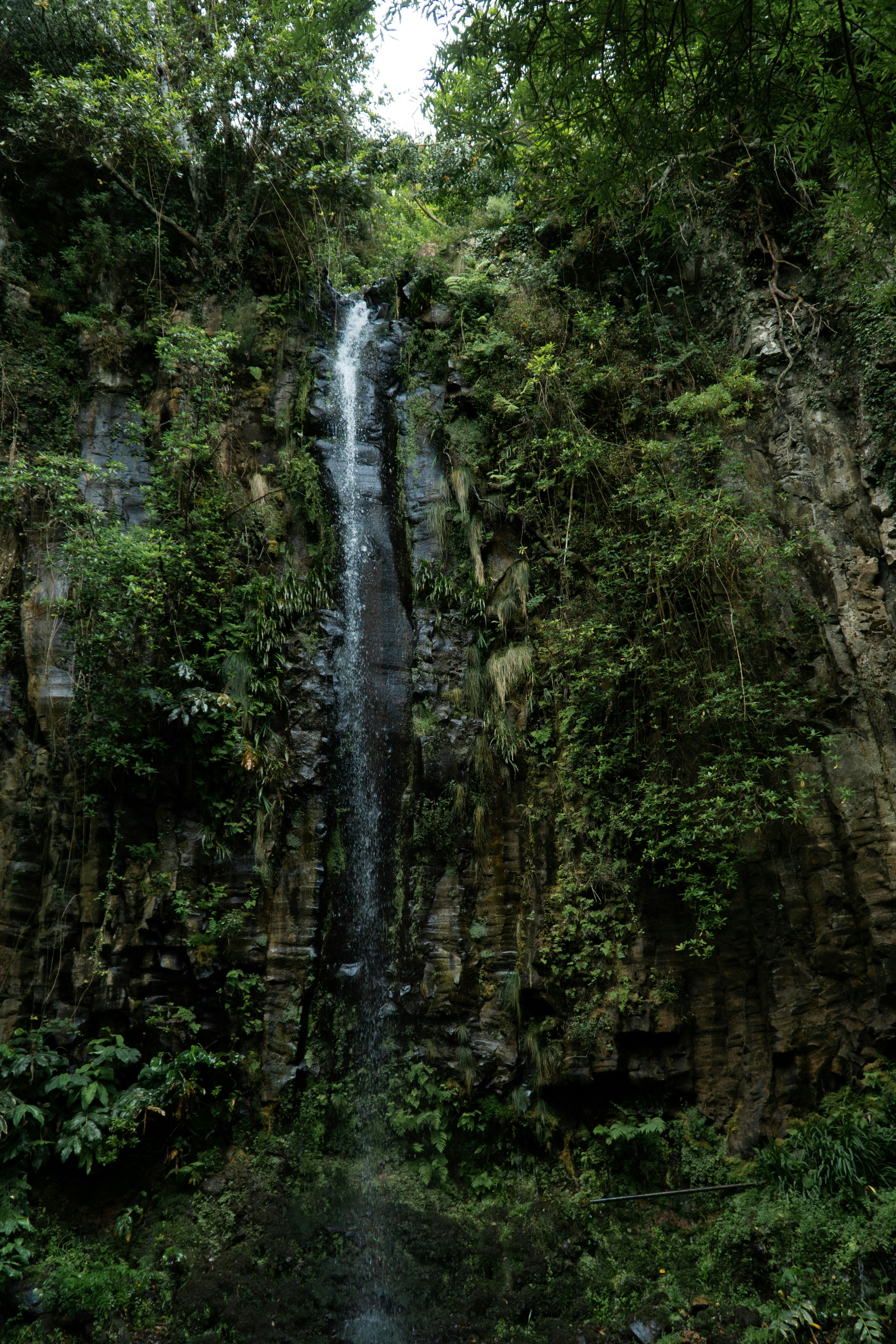 Photo by fanjatastisch