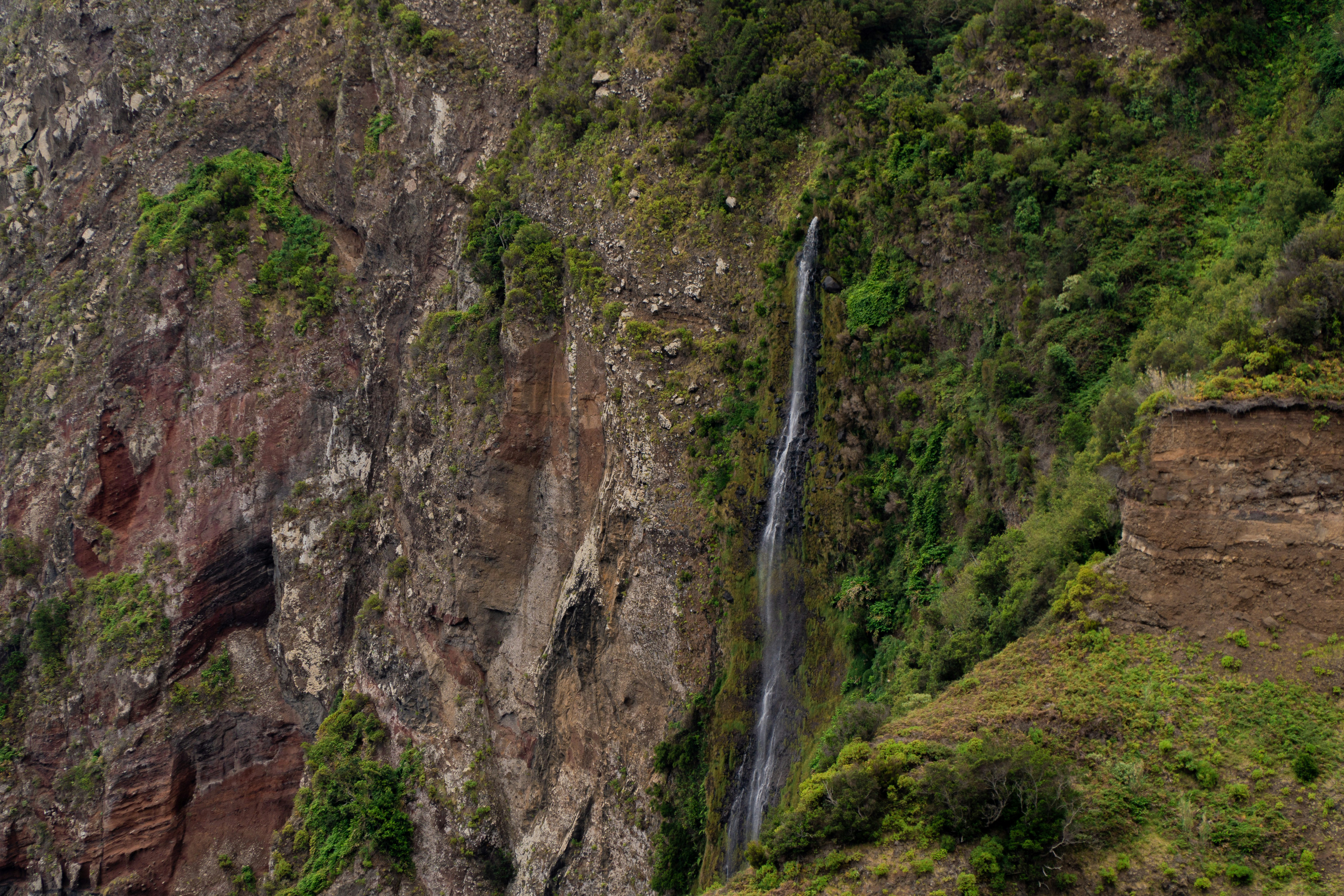 Photo by fanjatastisch