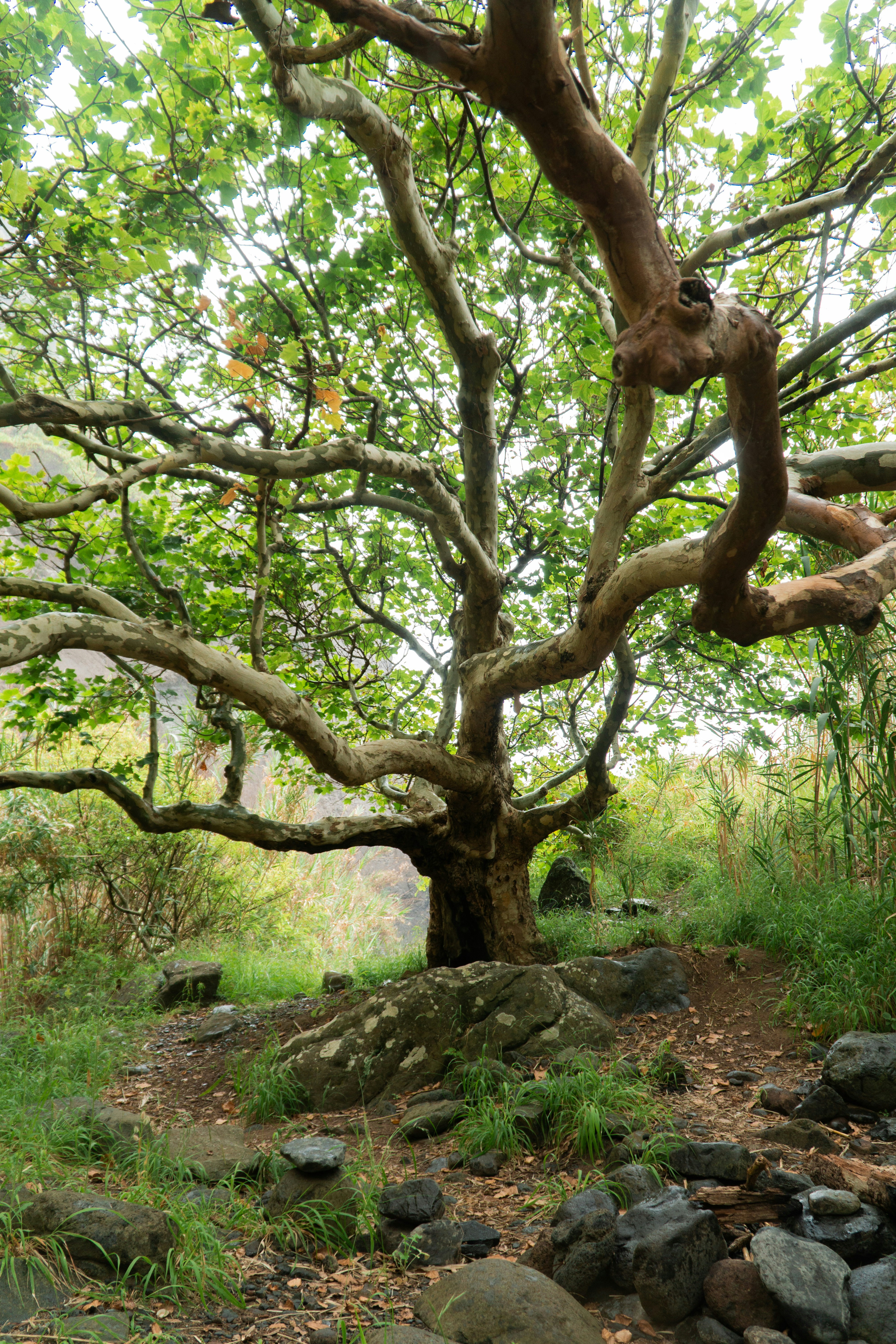 Photo by fanjatastisch