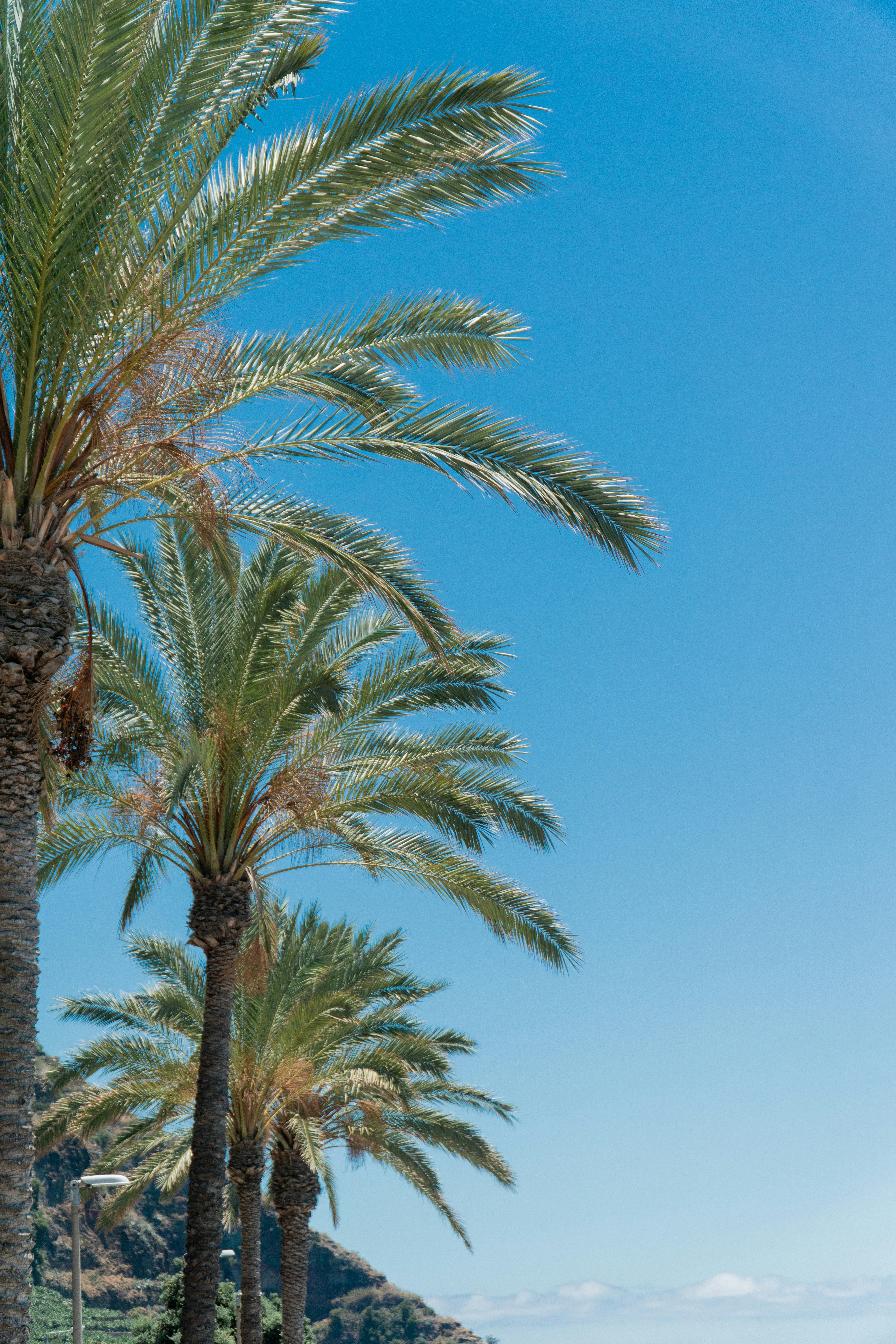 Photo by fanjatastisch