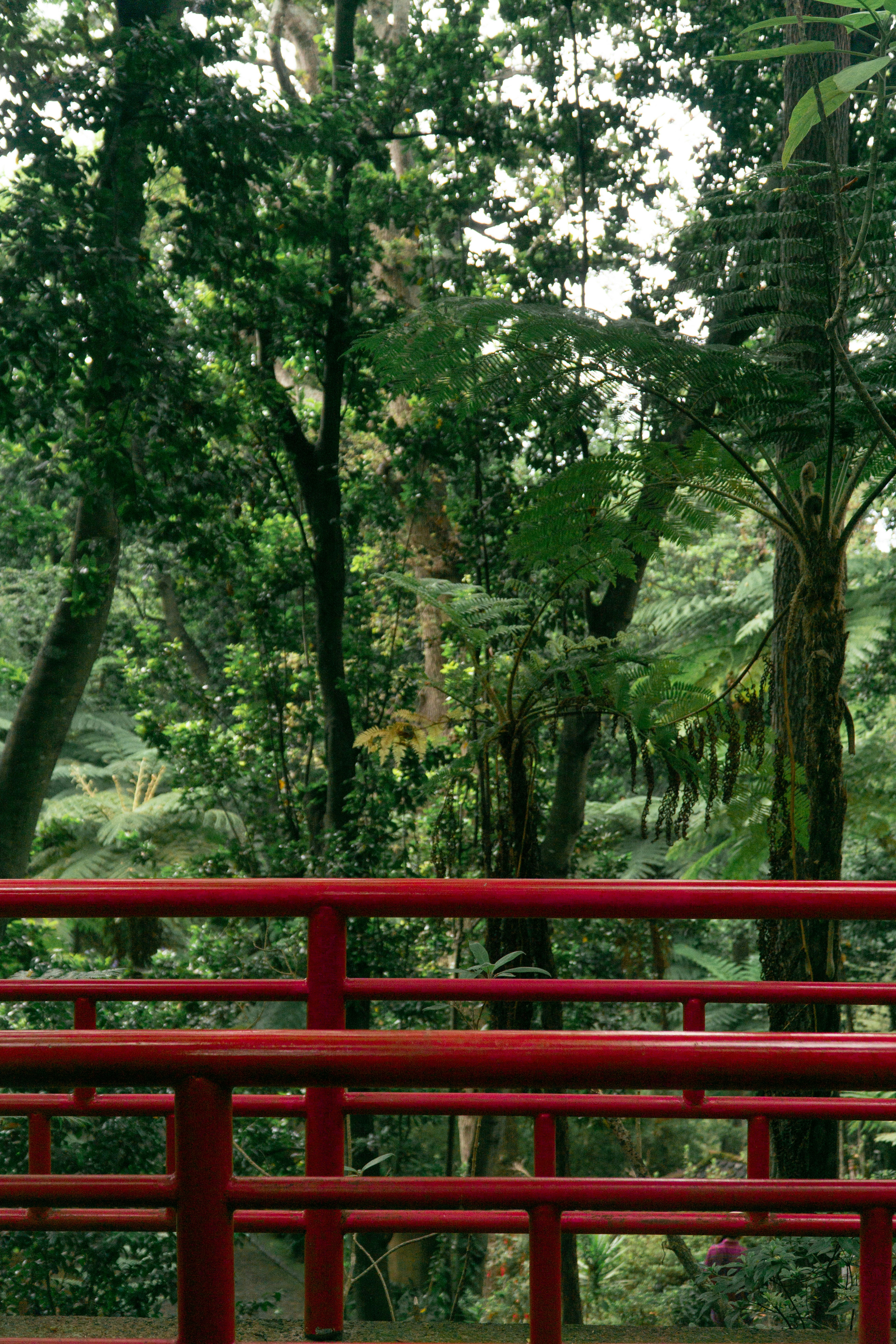 Photo by fanjatastisch