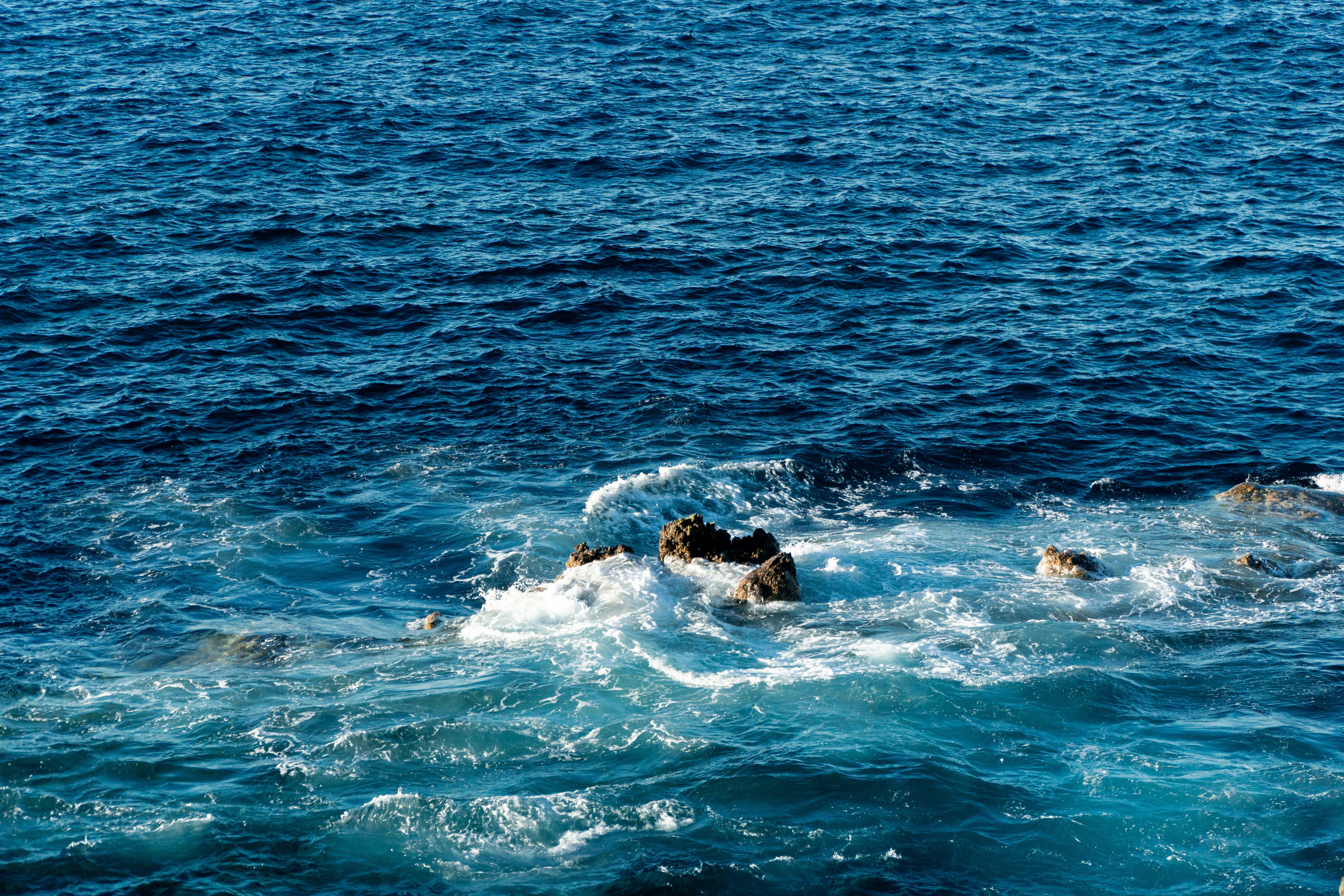 Photo by fanjatastisch