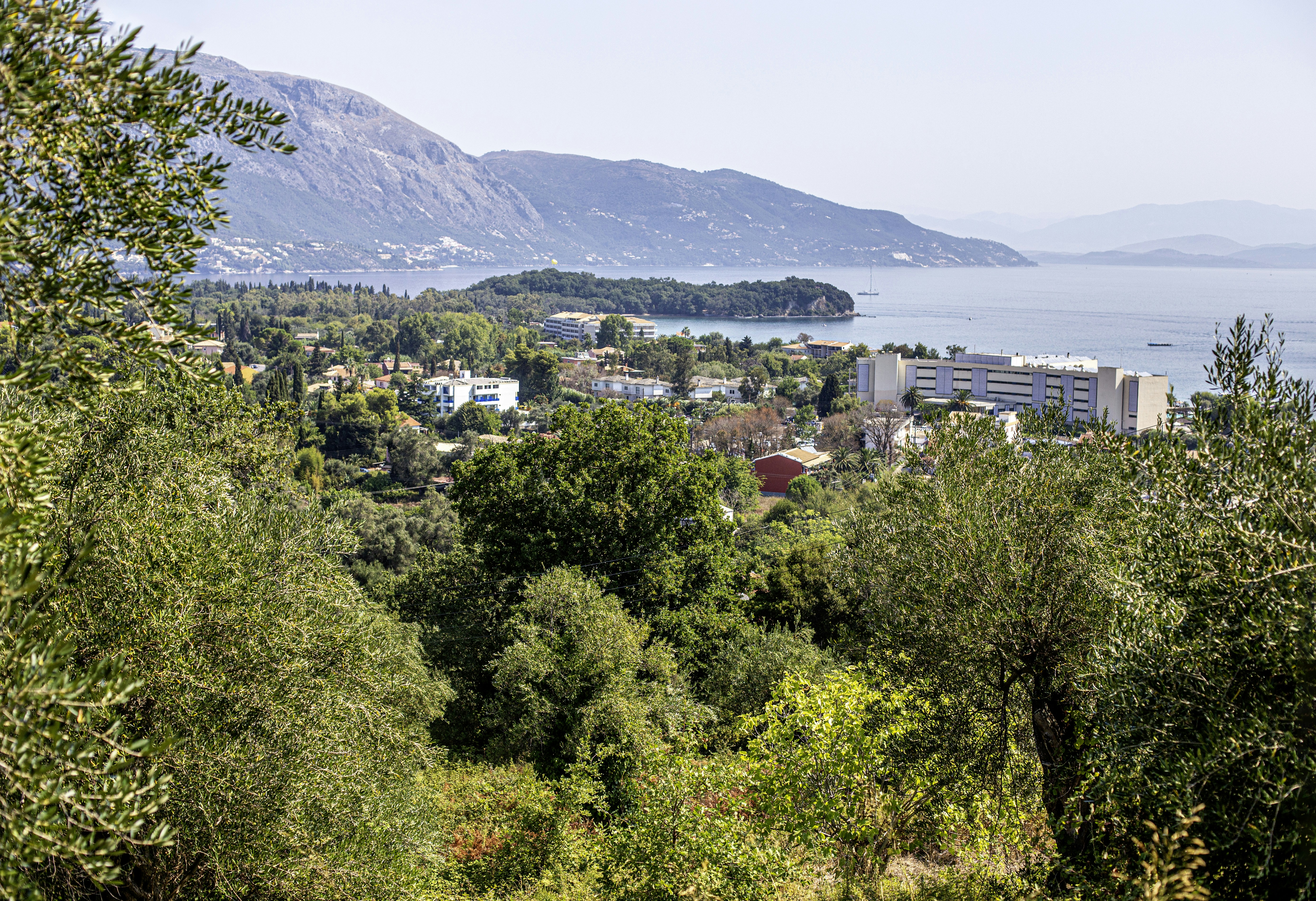 Photo by erik_karits