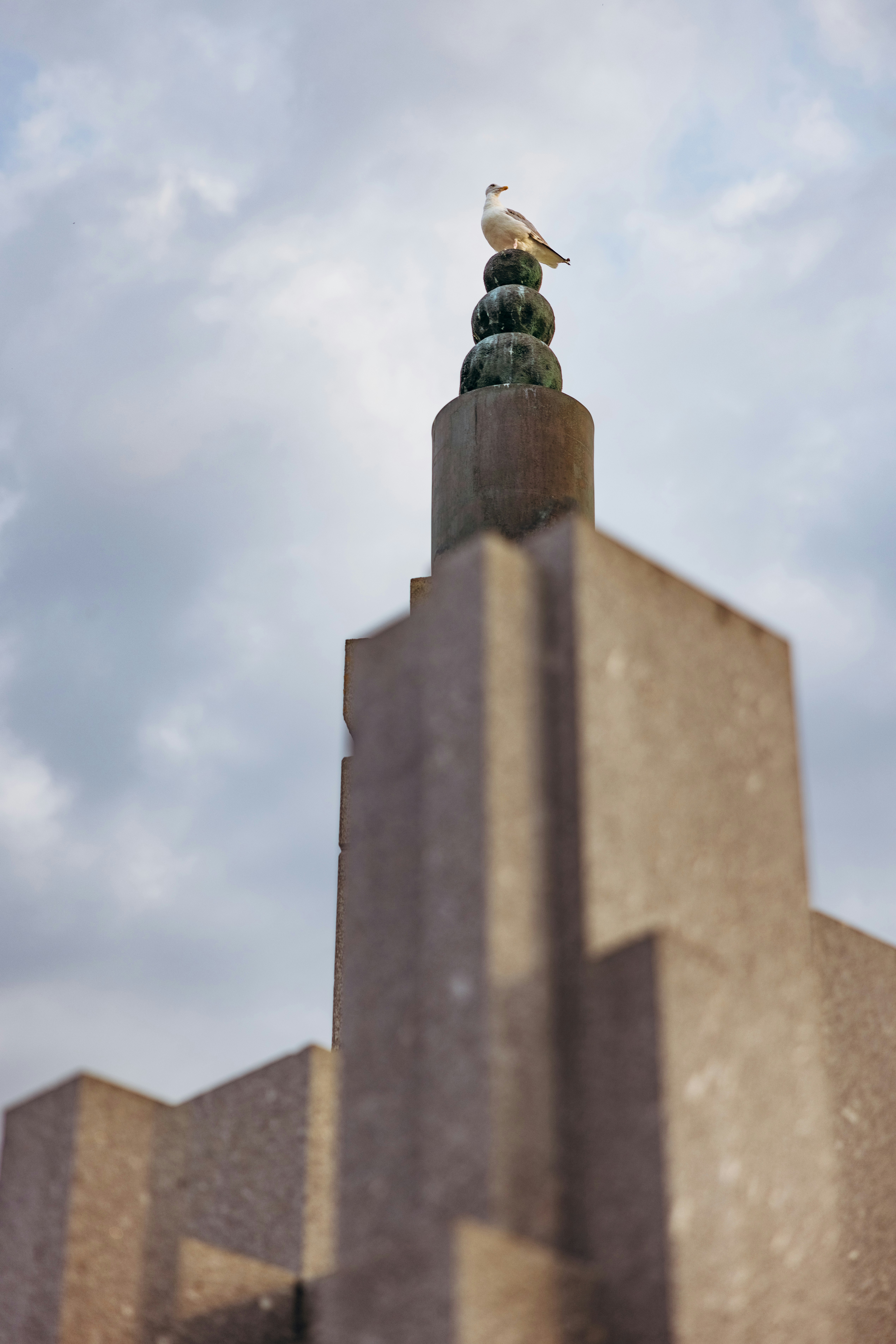 A bird is sitting on top of a building