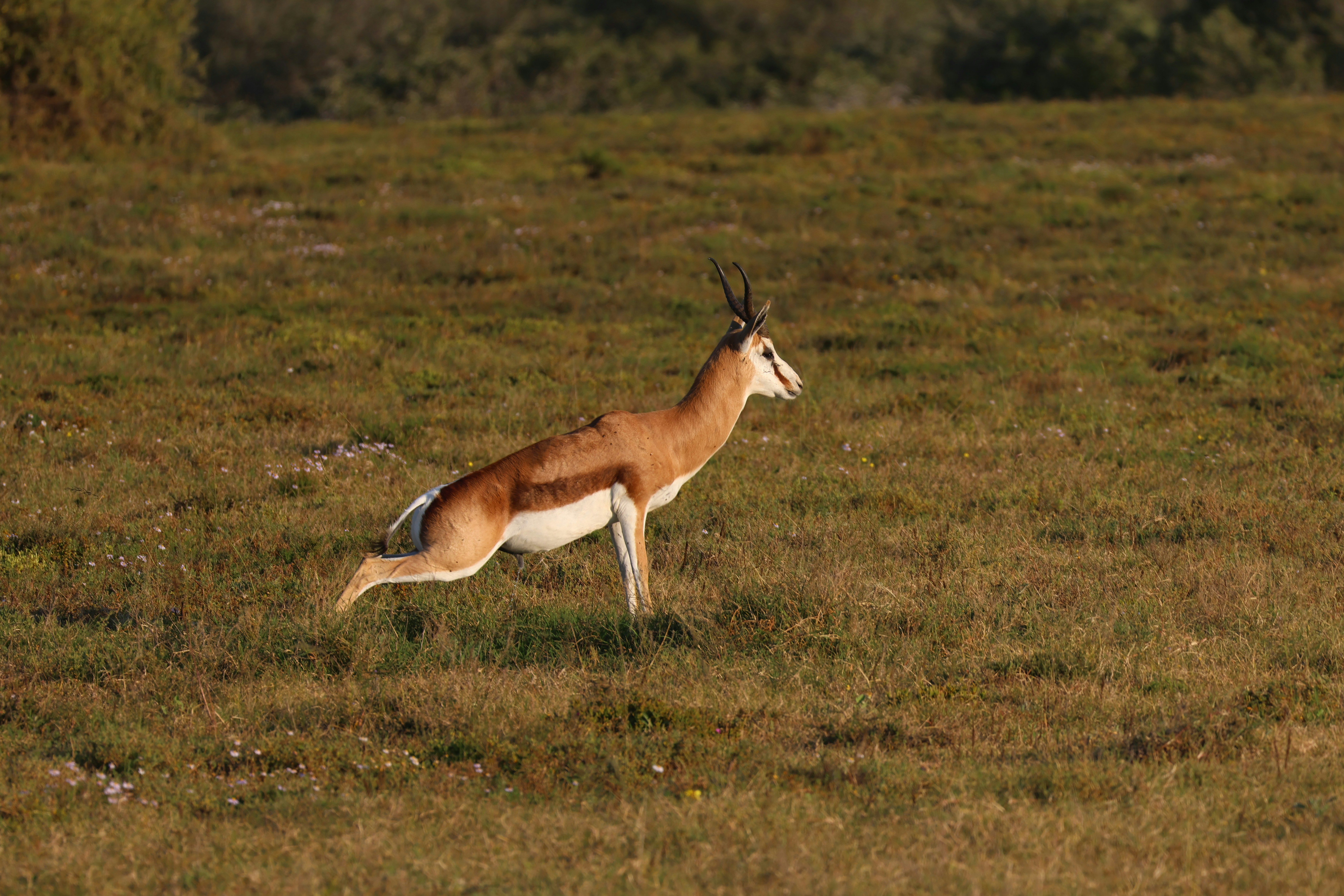 Photo by aryatulsyan