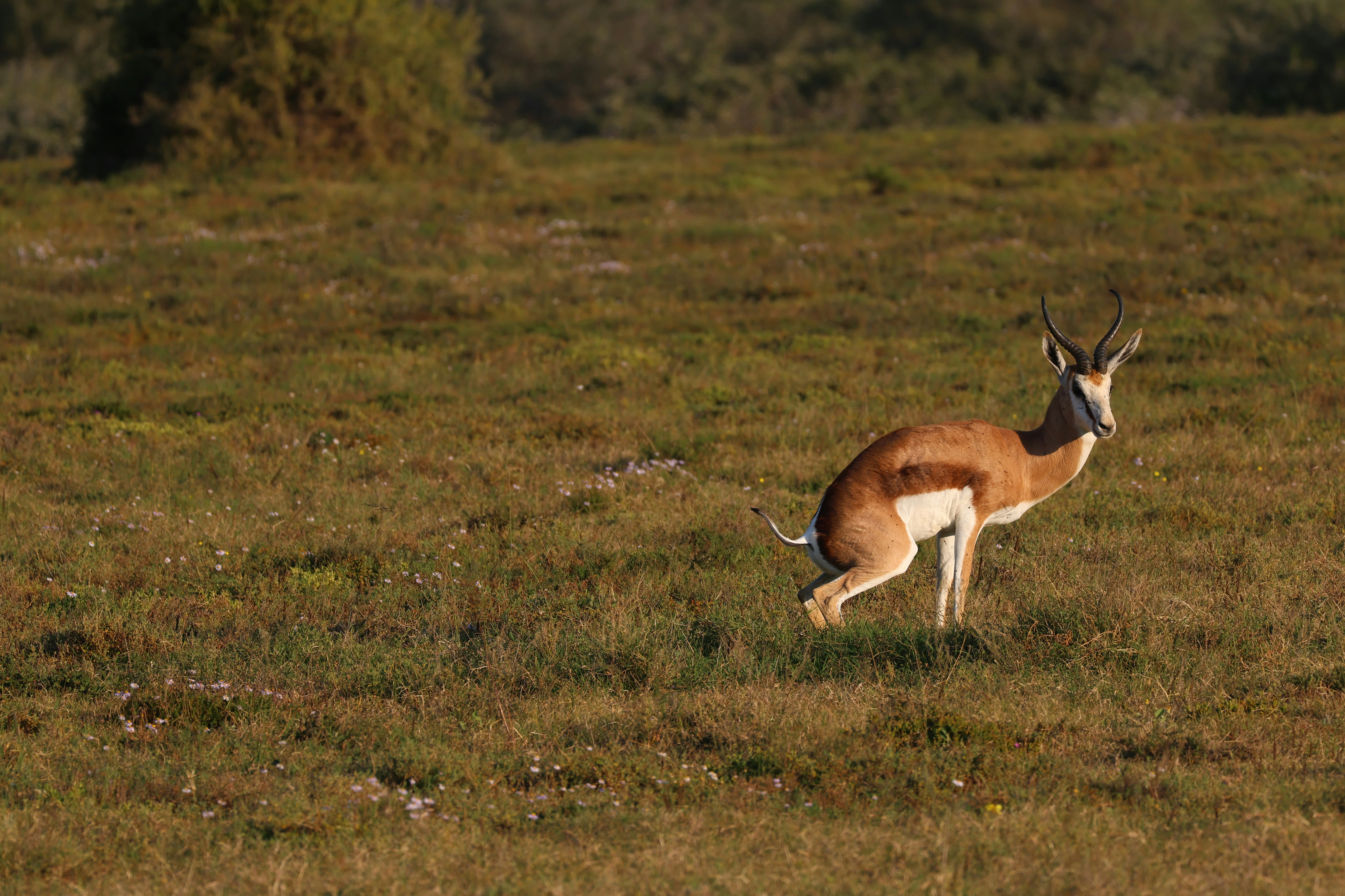 Photo by aryatulsyan