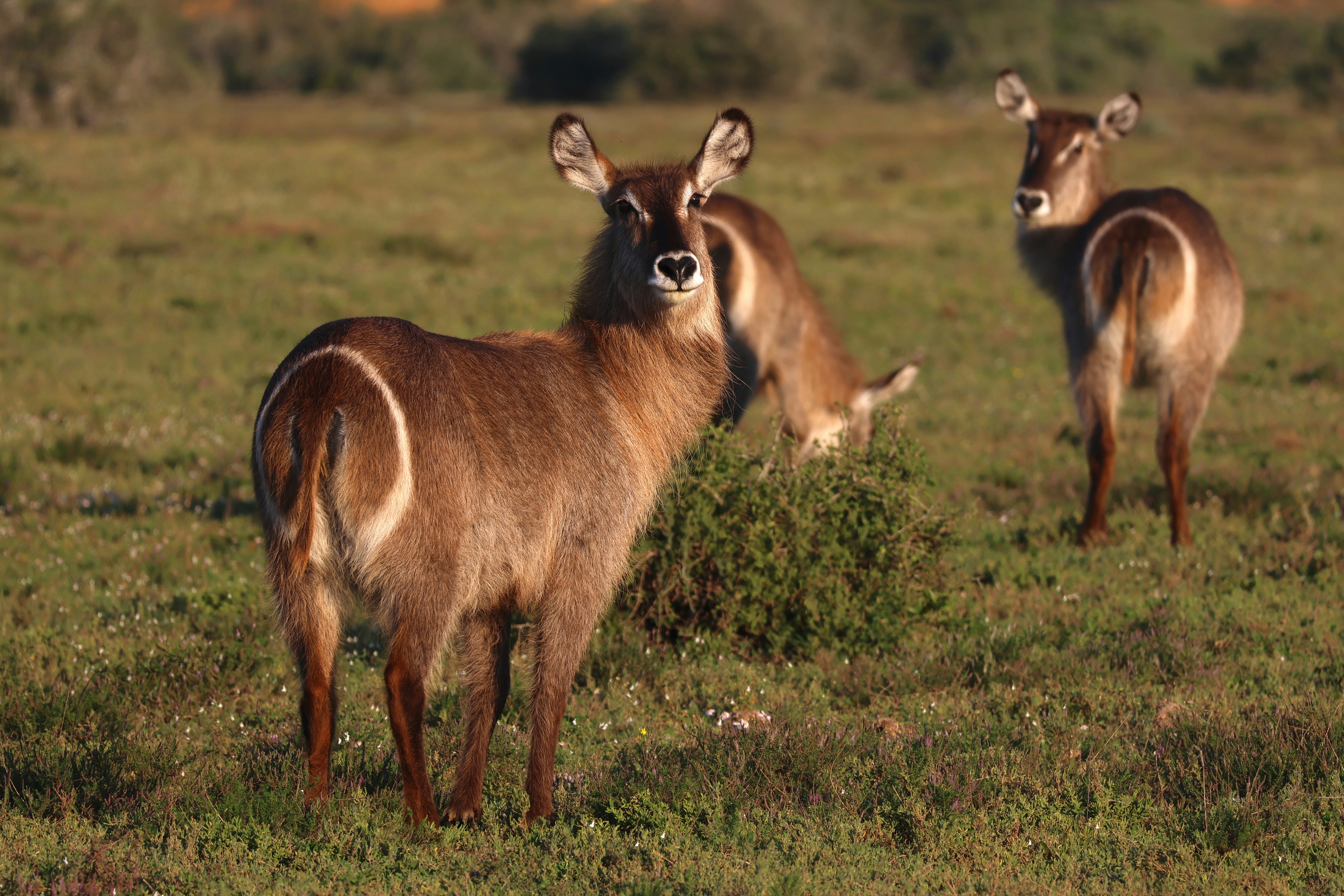 Photo by aryatulsyan