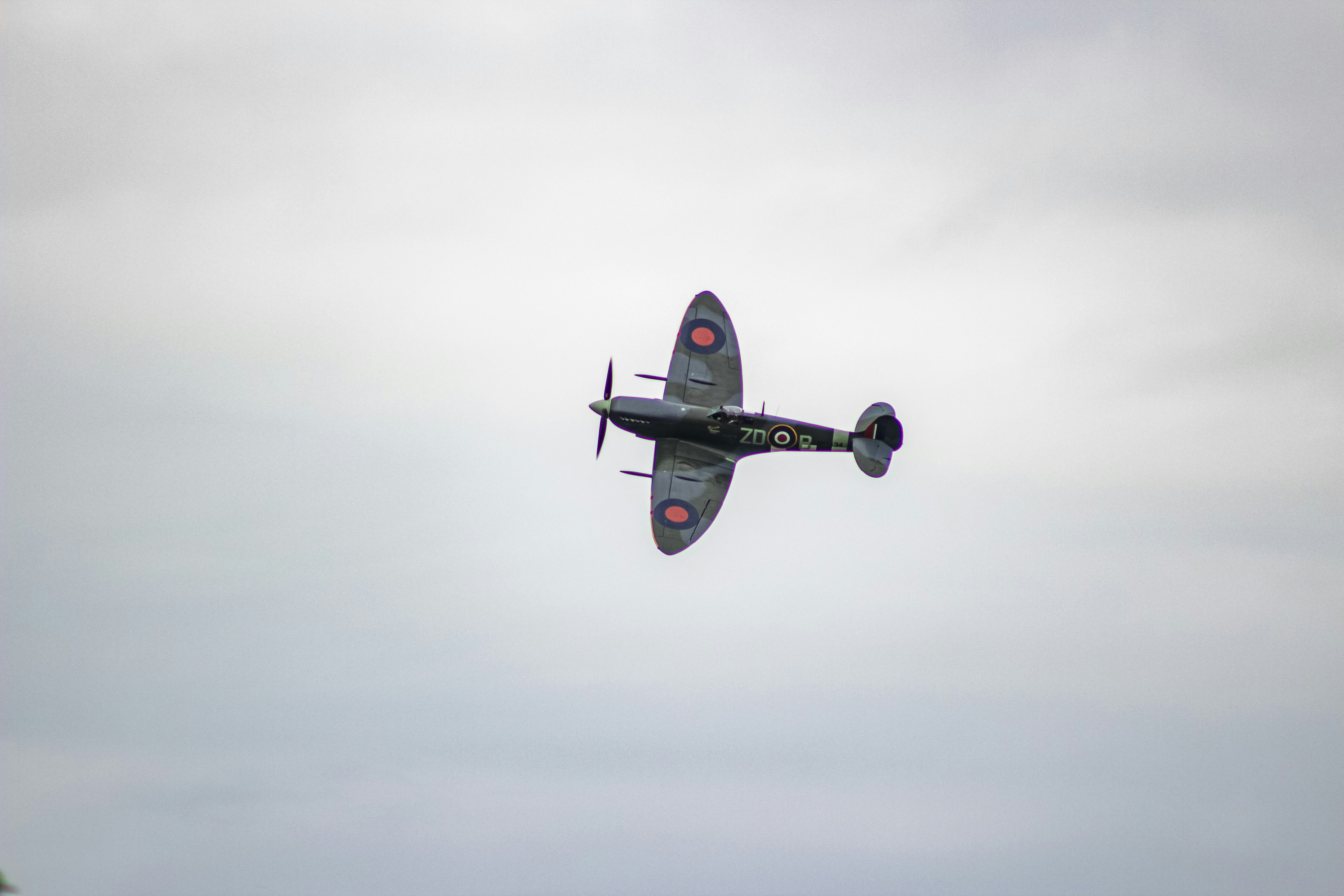 Photo by embosity1998