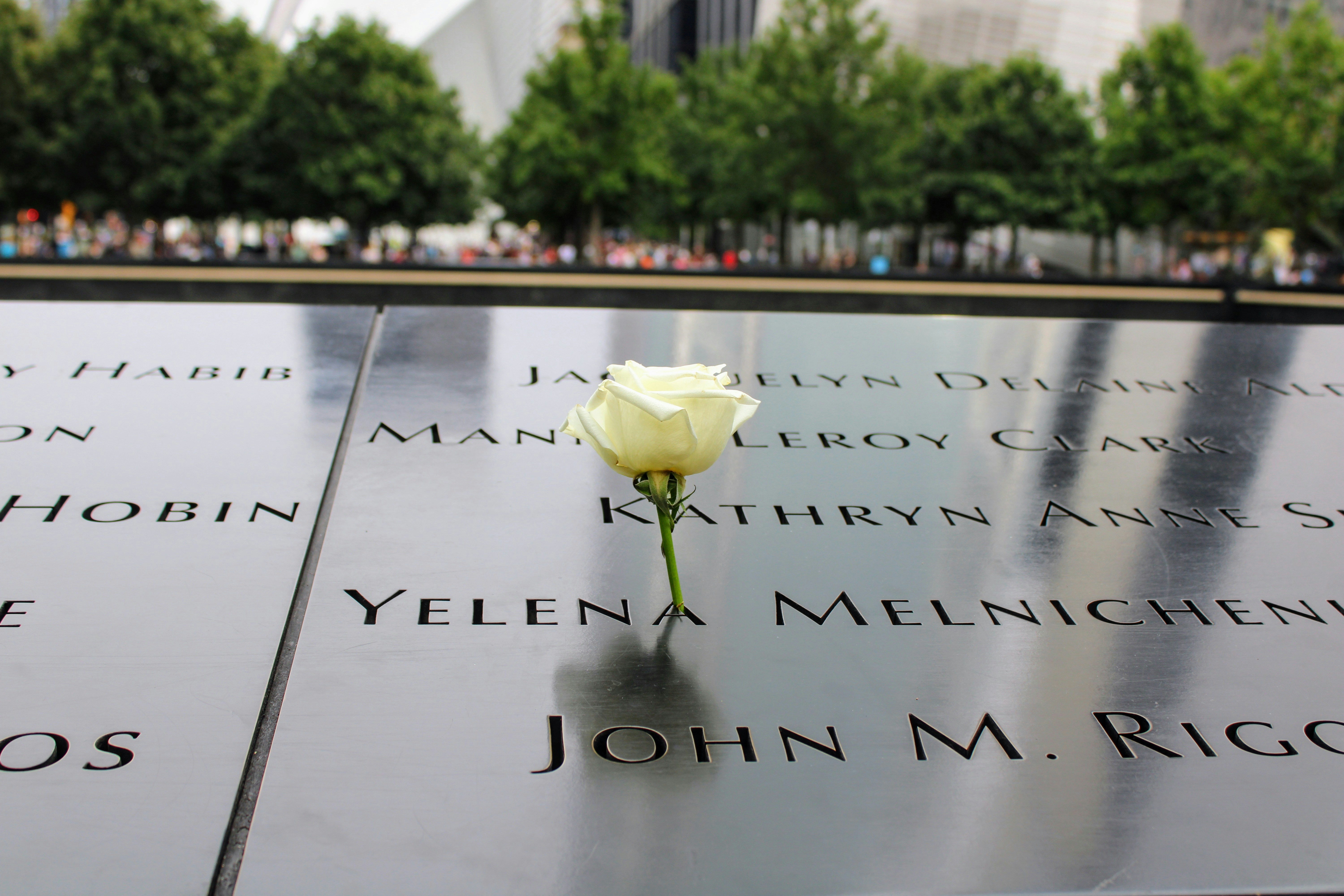 Photo by alyssacoulter12