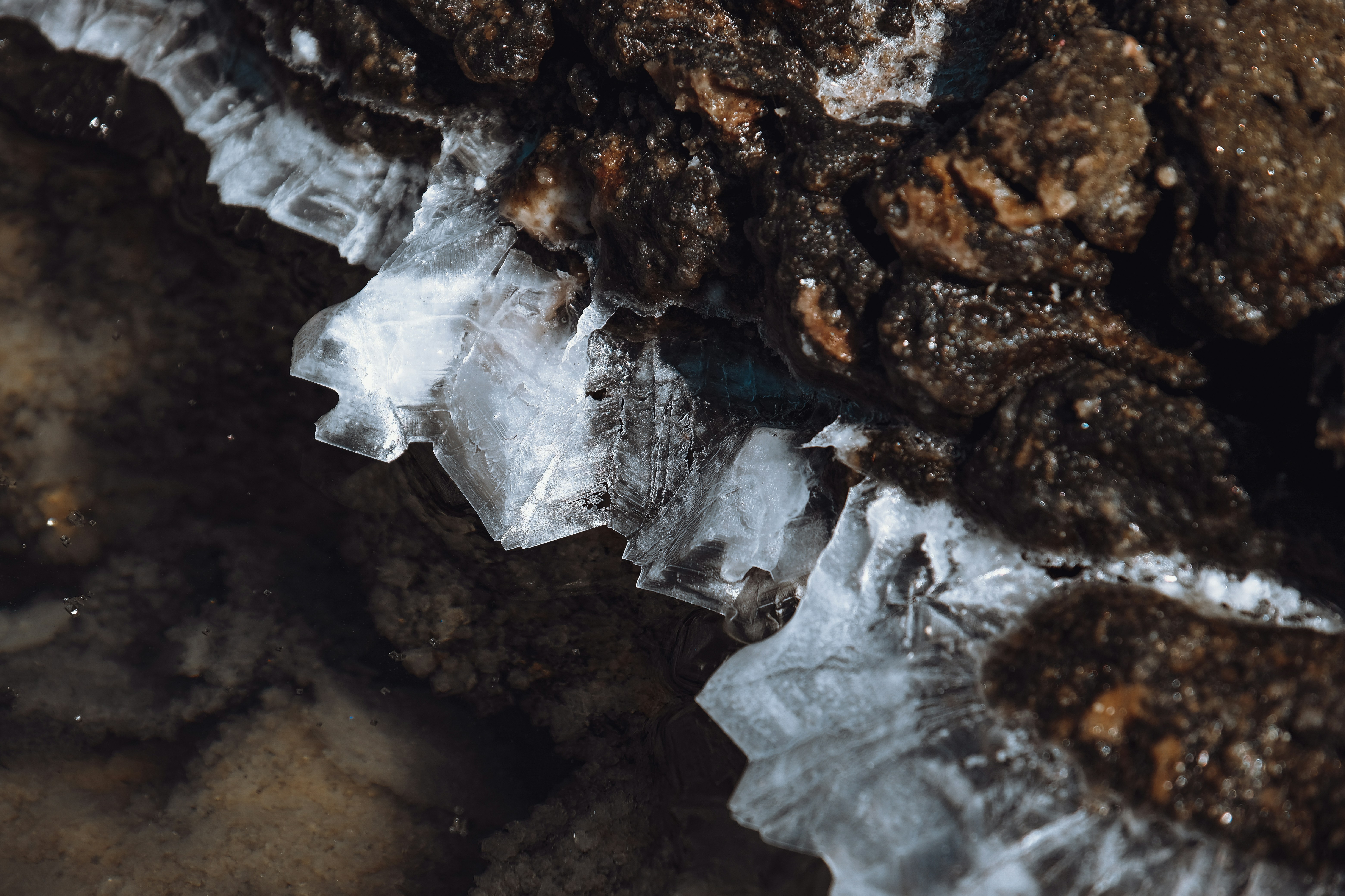 Photo by francesco_ungaro