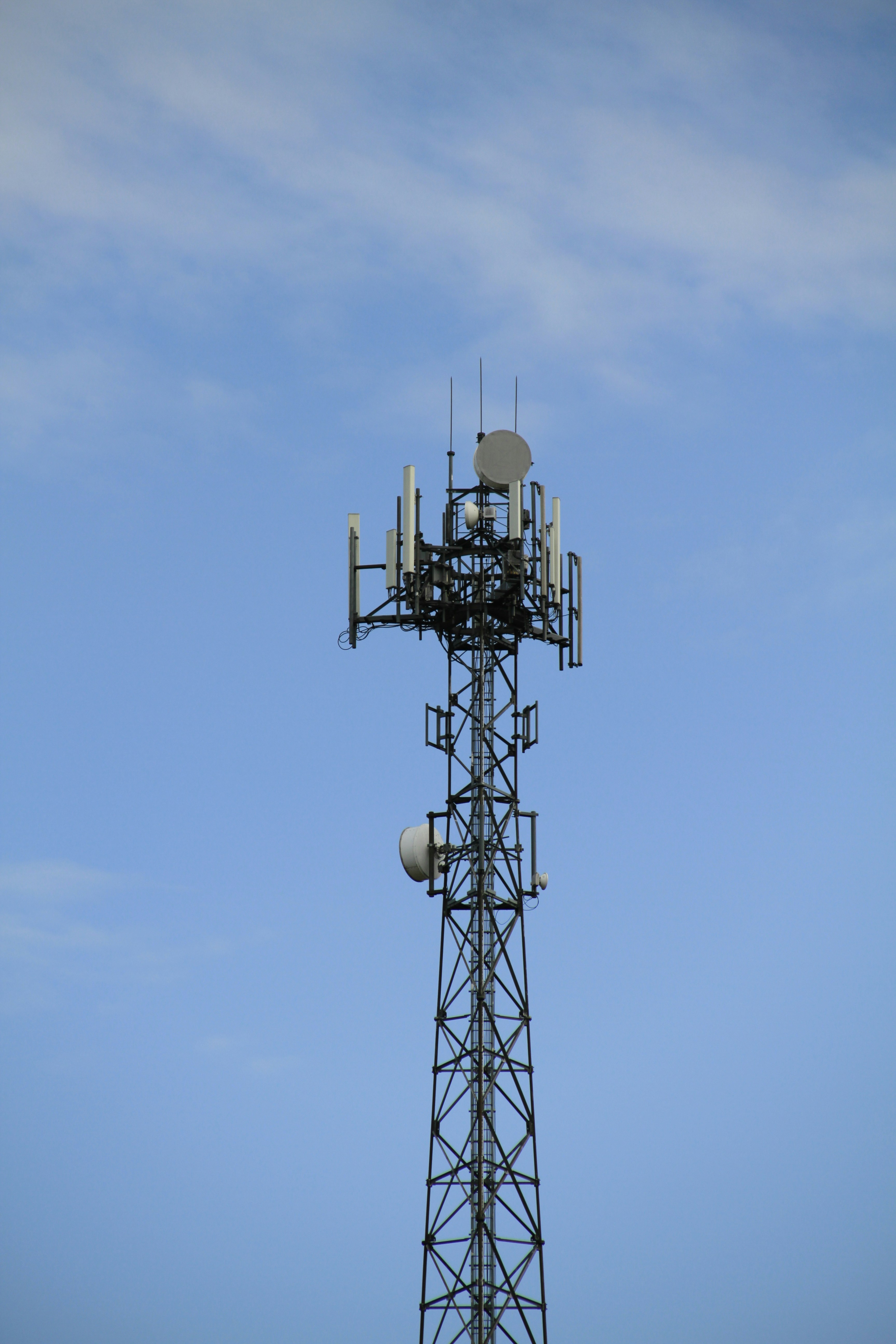 Photo by golddominik893