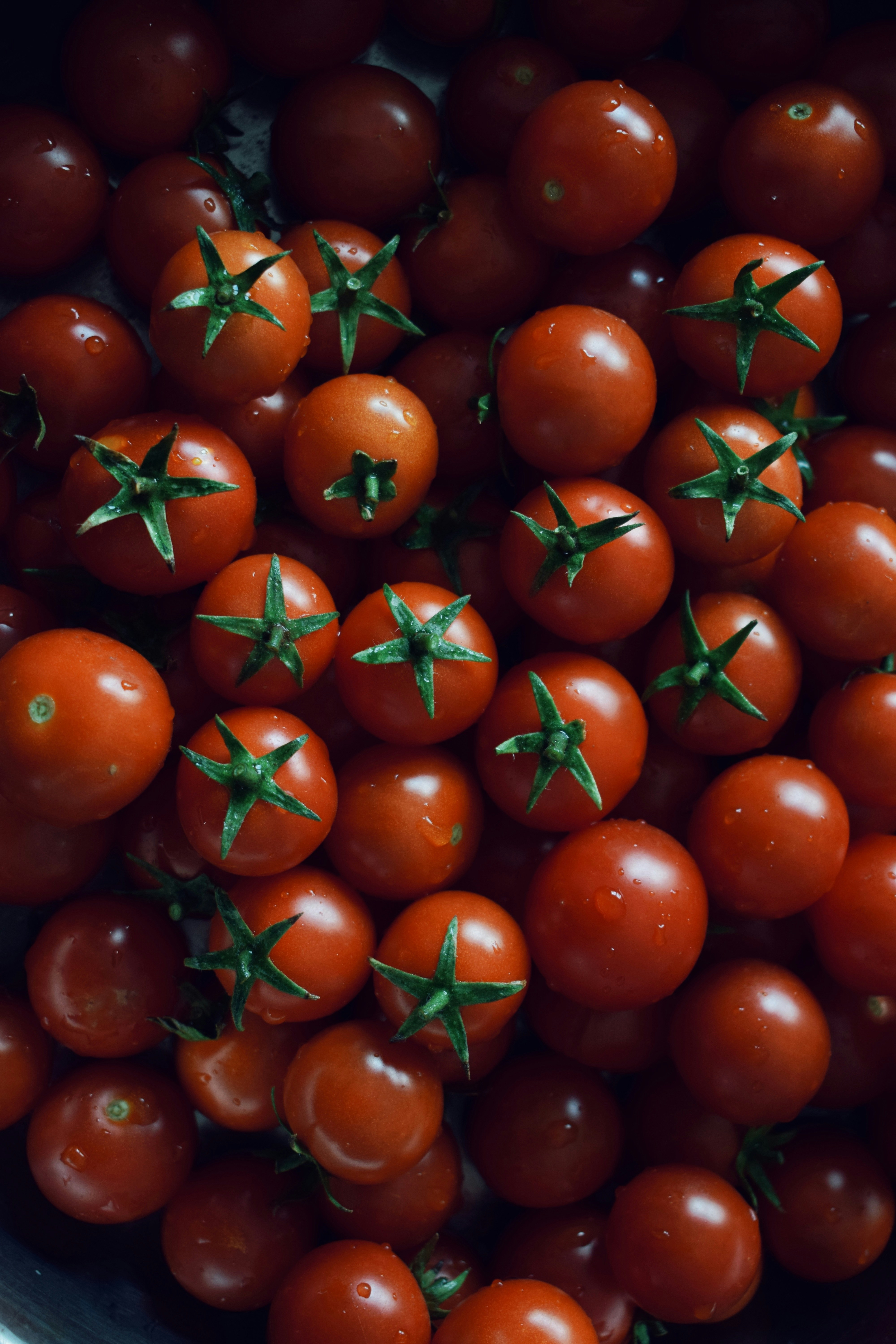 A bunch of tomatoes are in a bowl