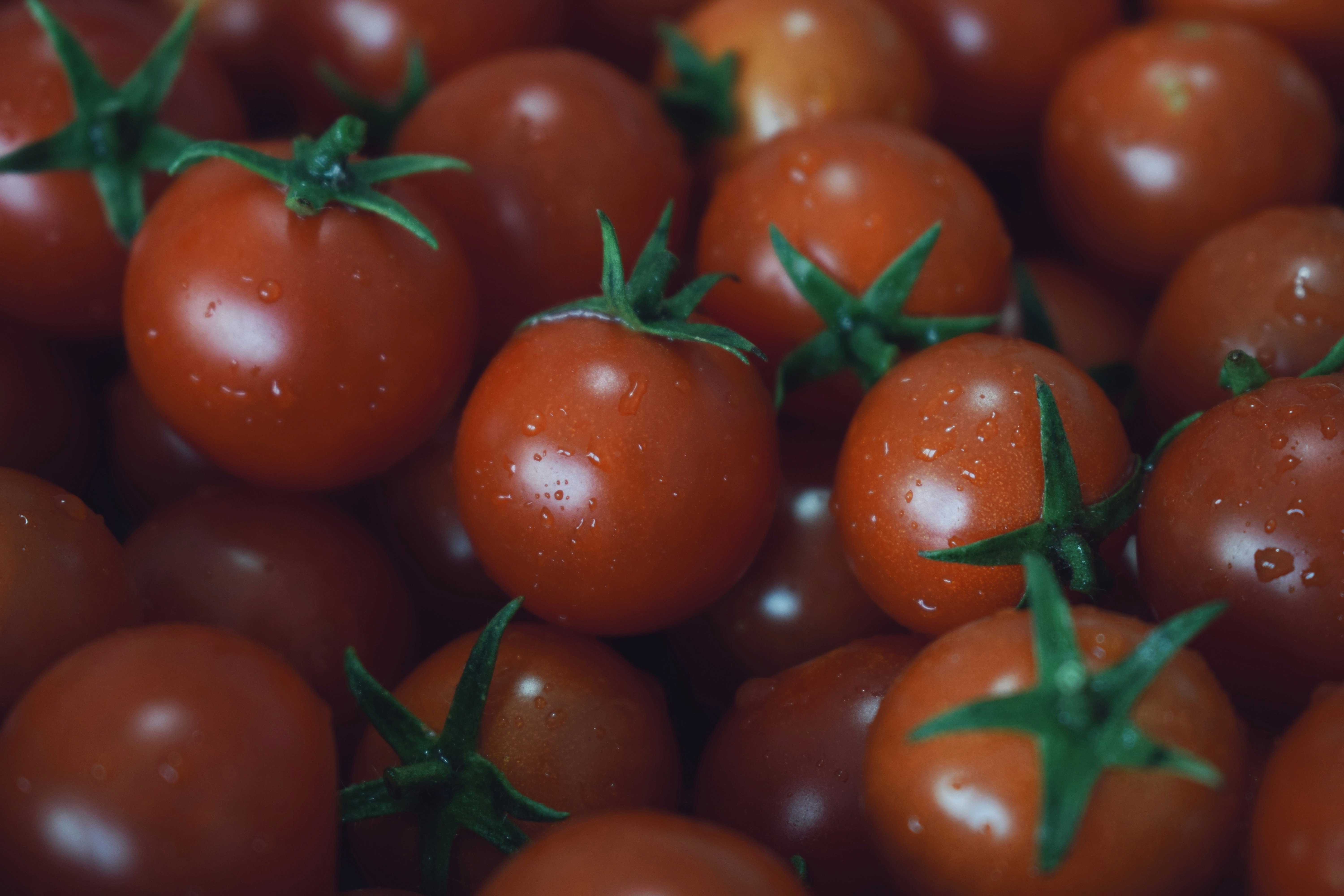 A close up of a bunch of tomatoes