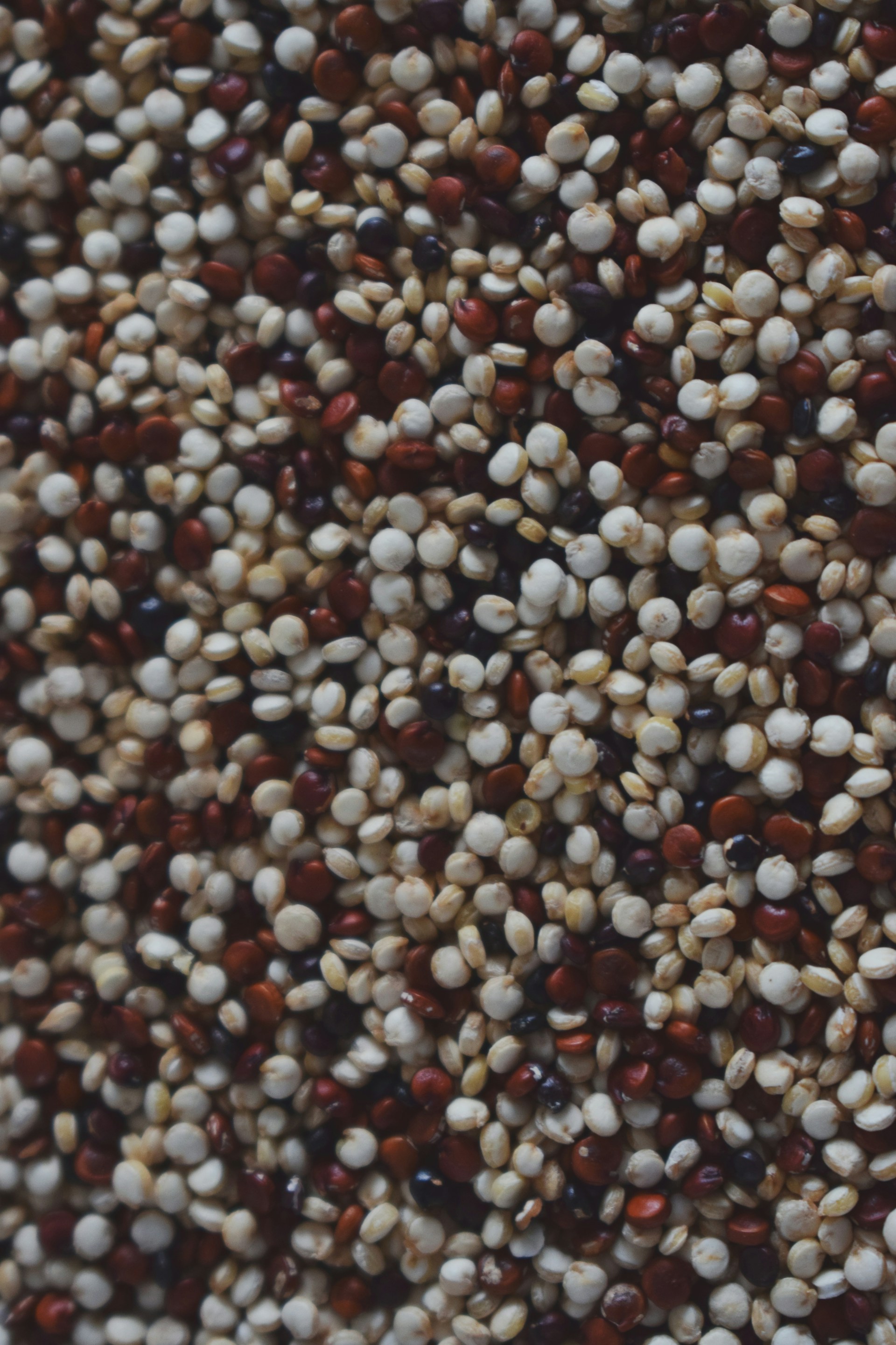 A close up of a bunch of seeds