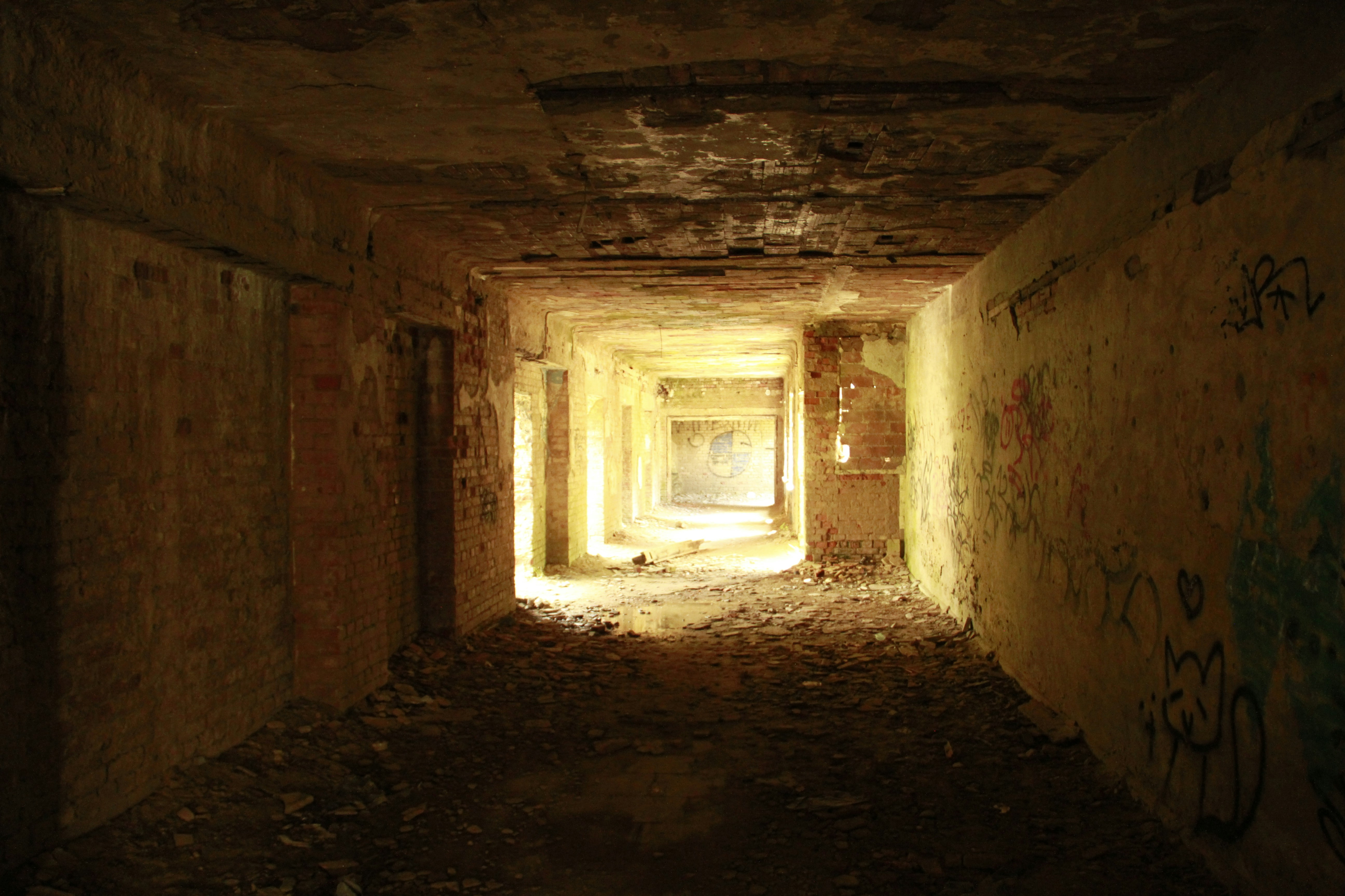 Photo by golddominik893