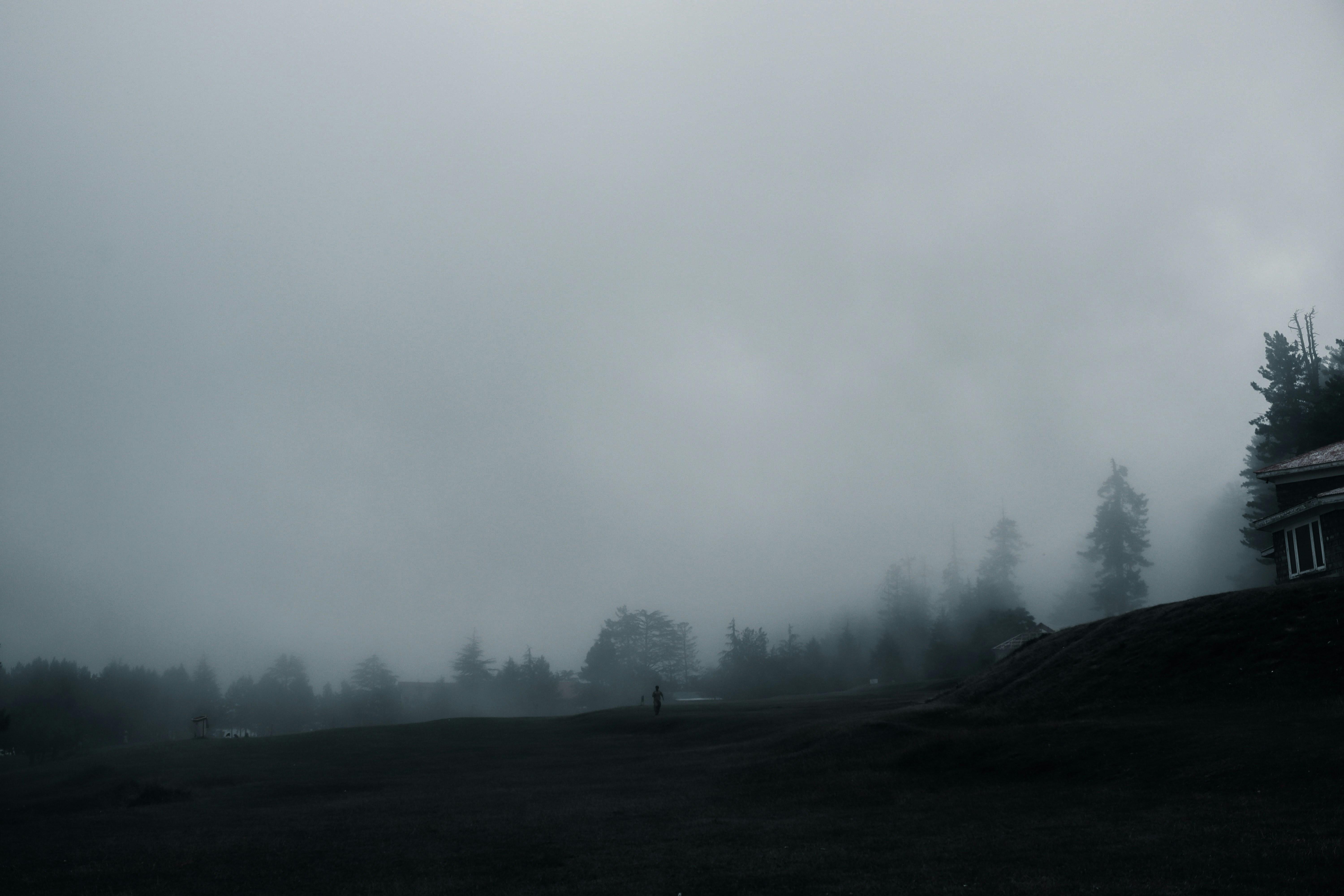 Photo by drphotographer152