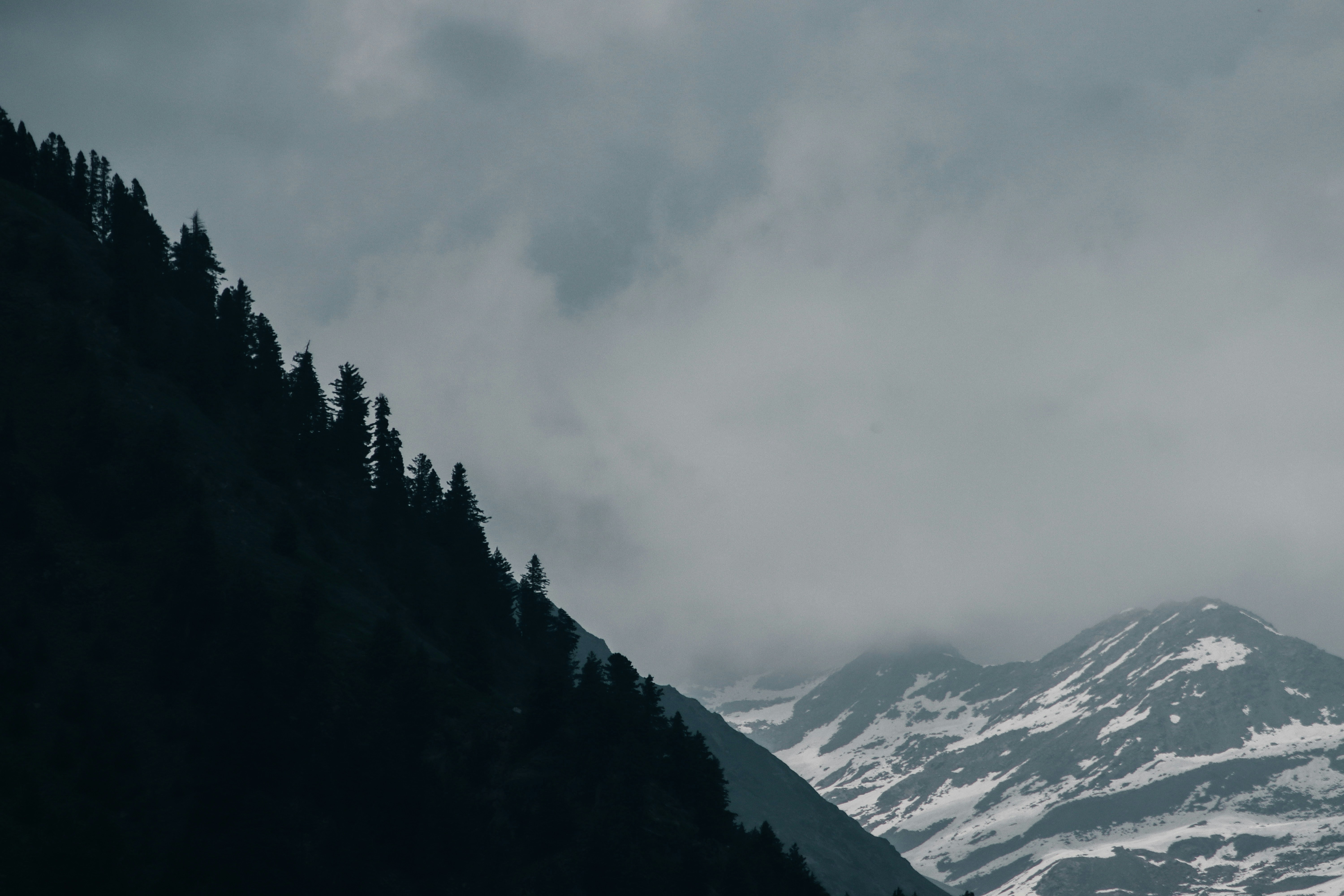 Photo by drphotographer152