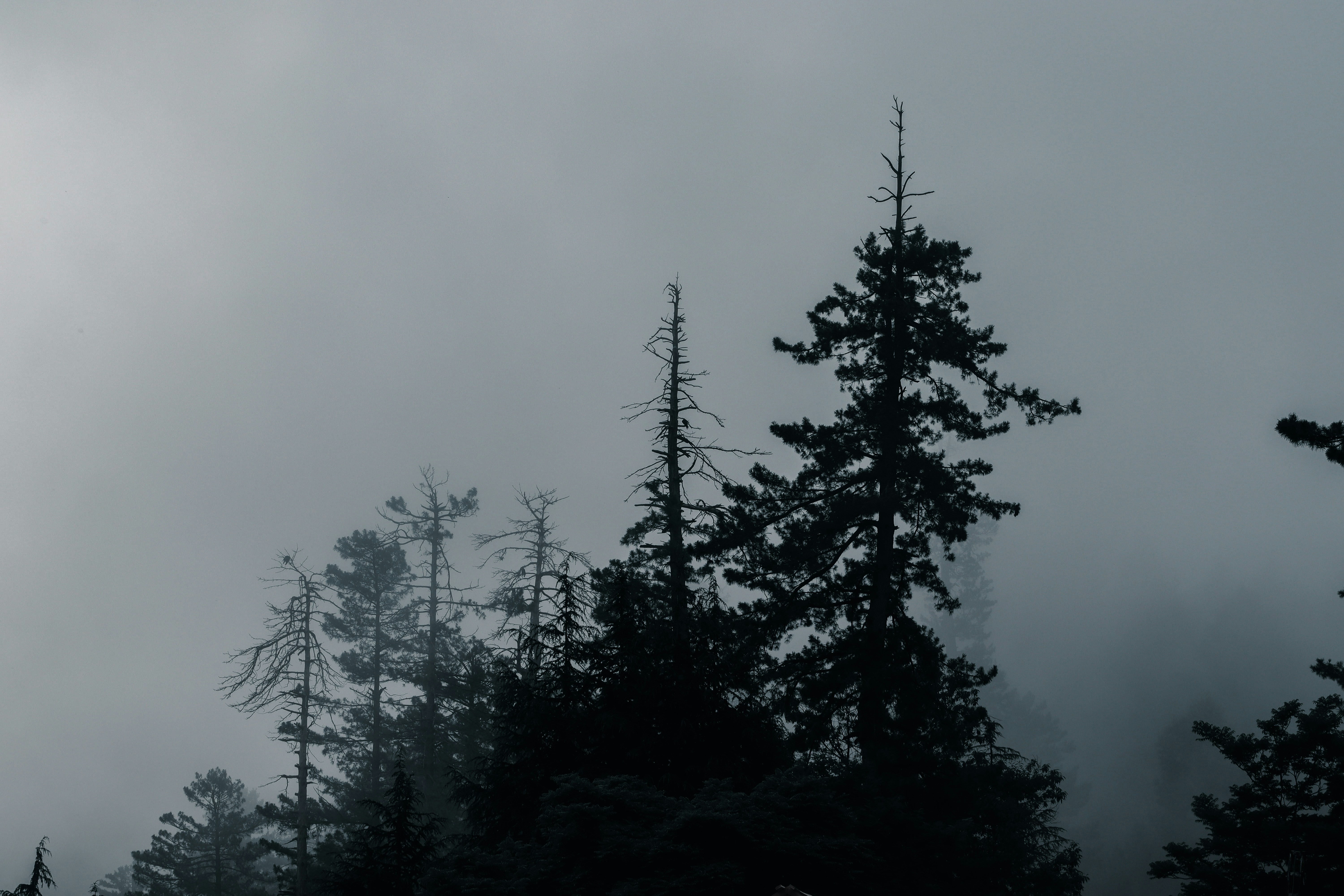 Photo by drphotographer152