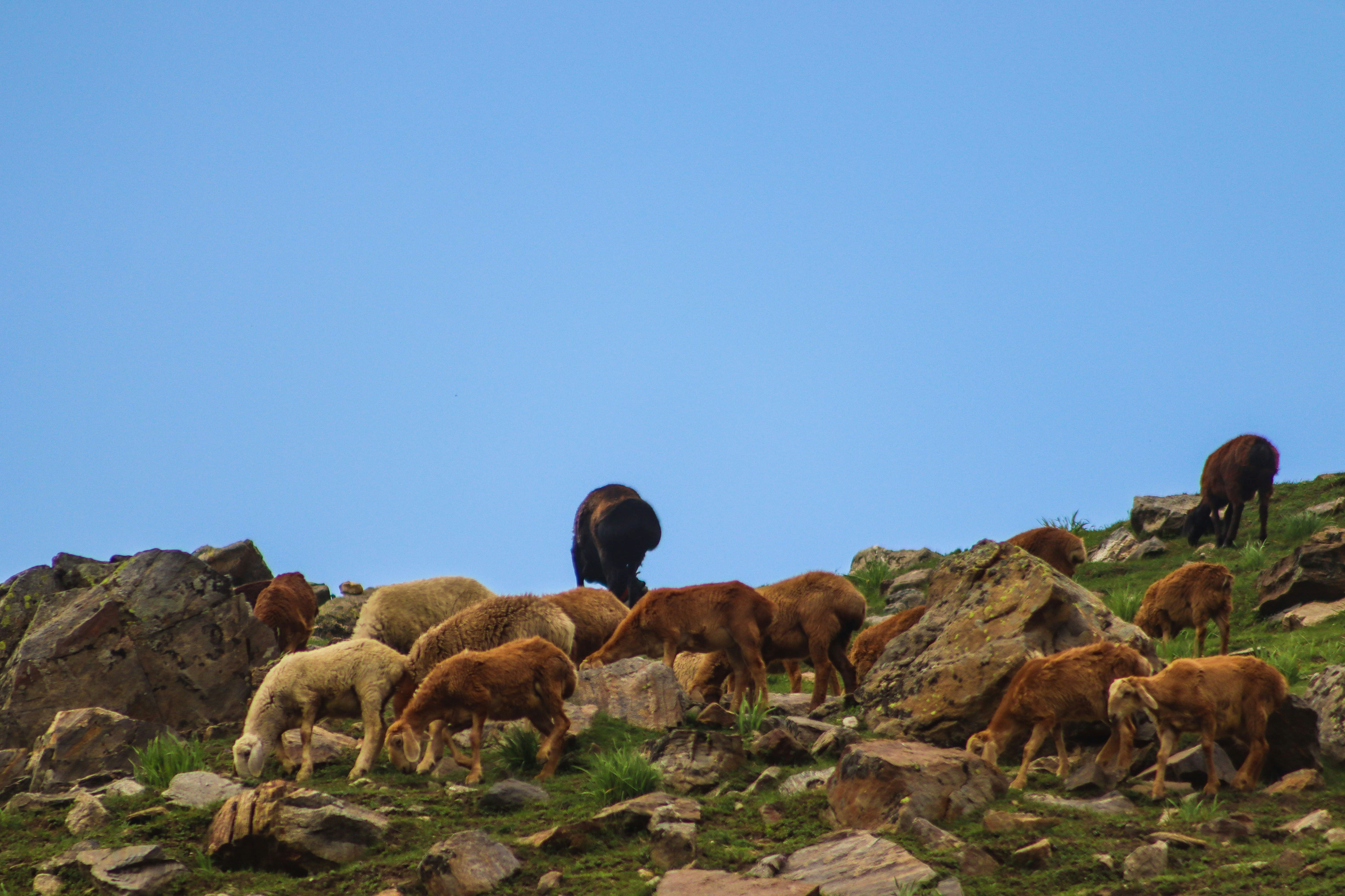 Photo by drphotographer152