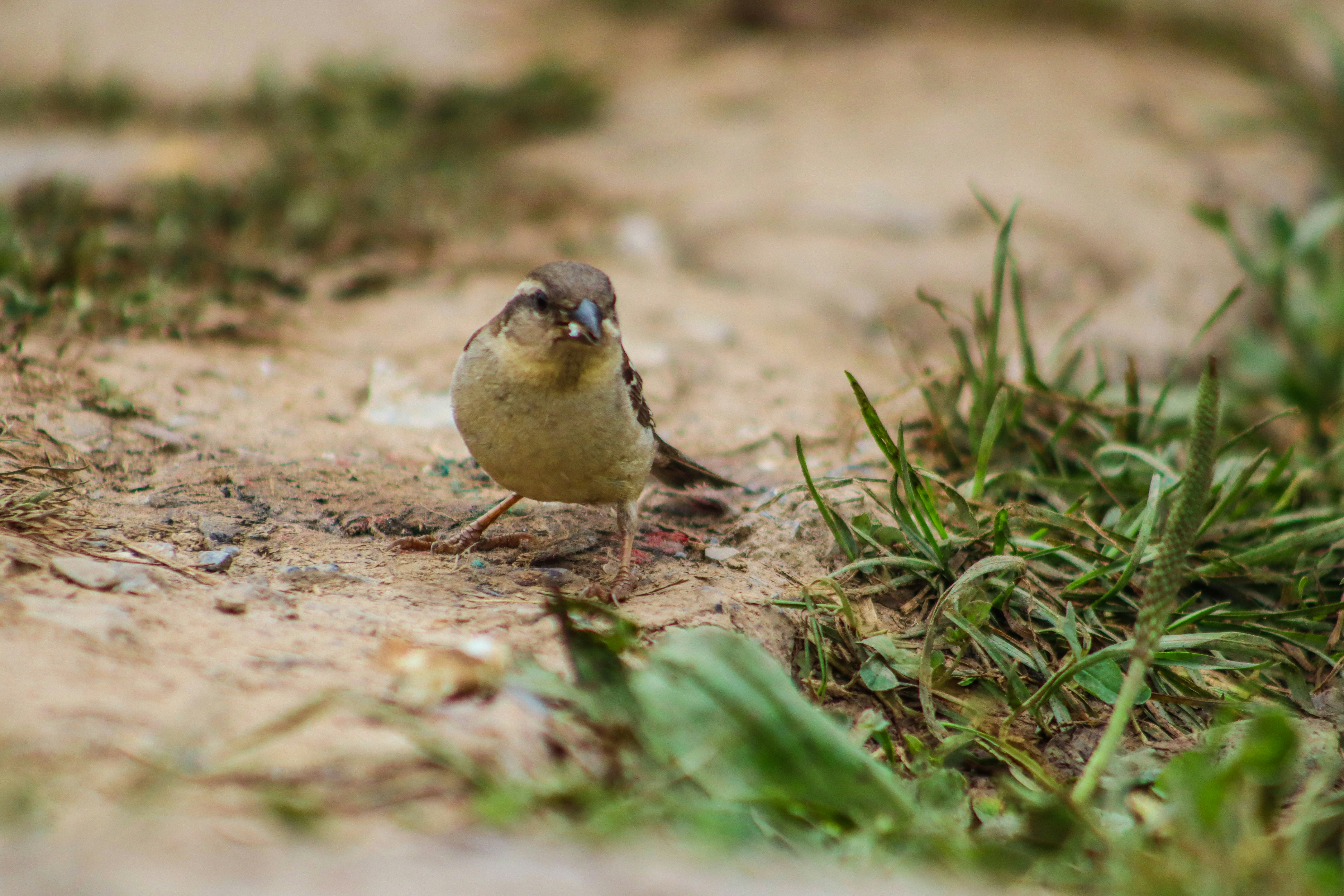 Photo by drphotographer152