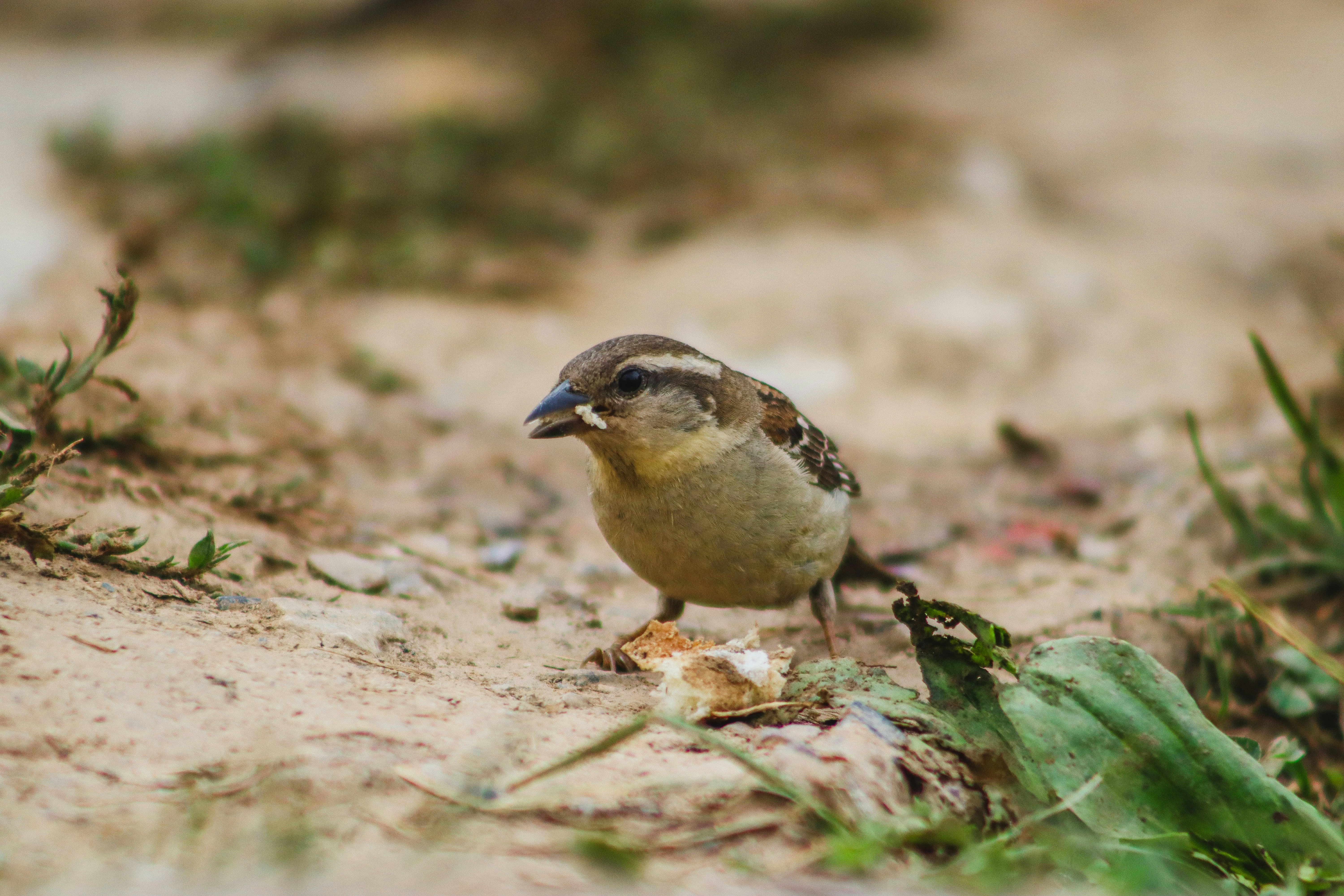 Photo by drphotographer152