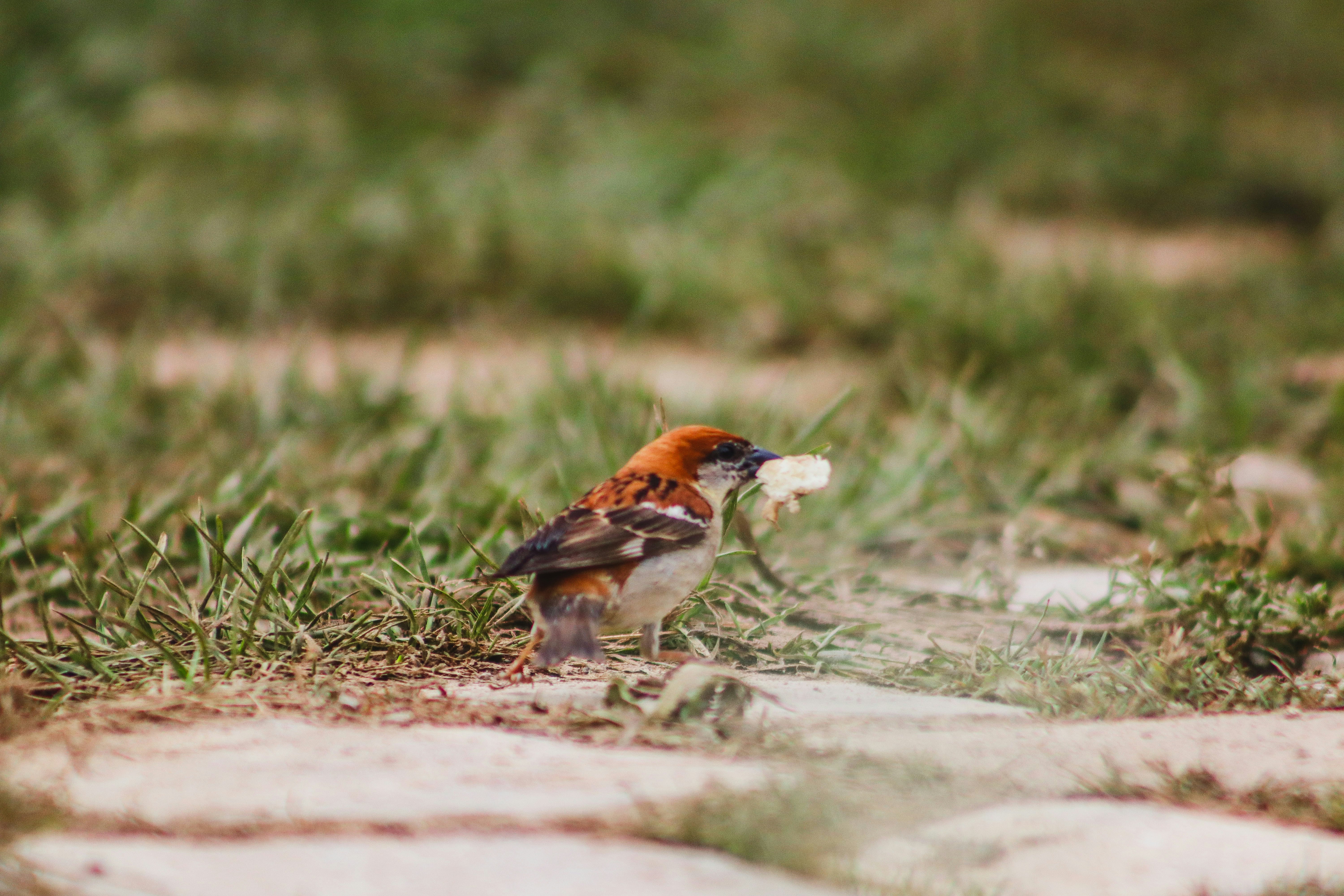 Photo by drphotographer152