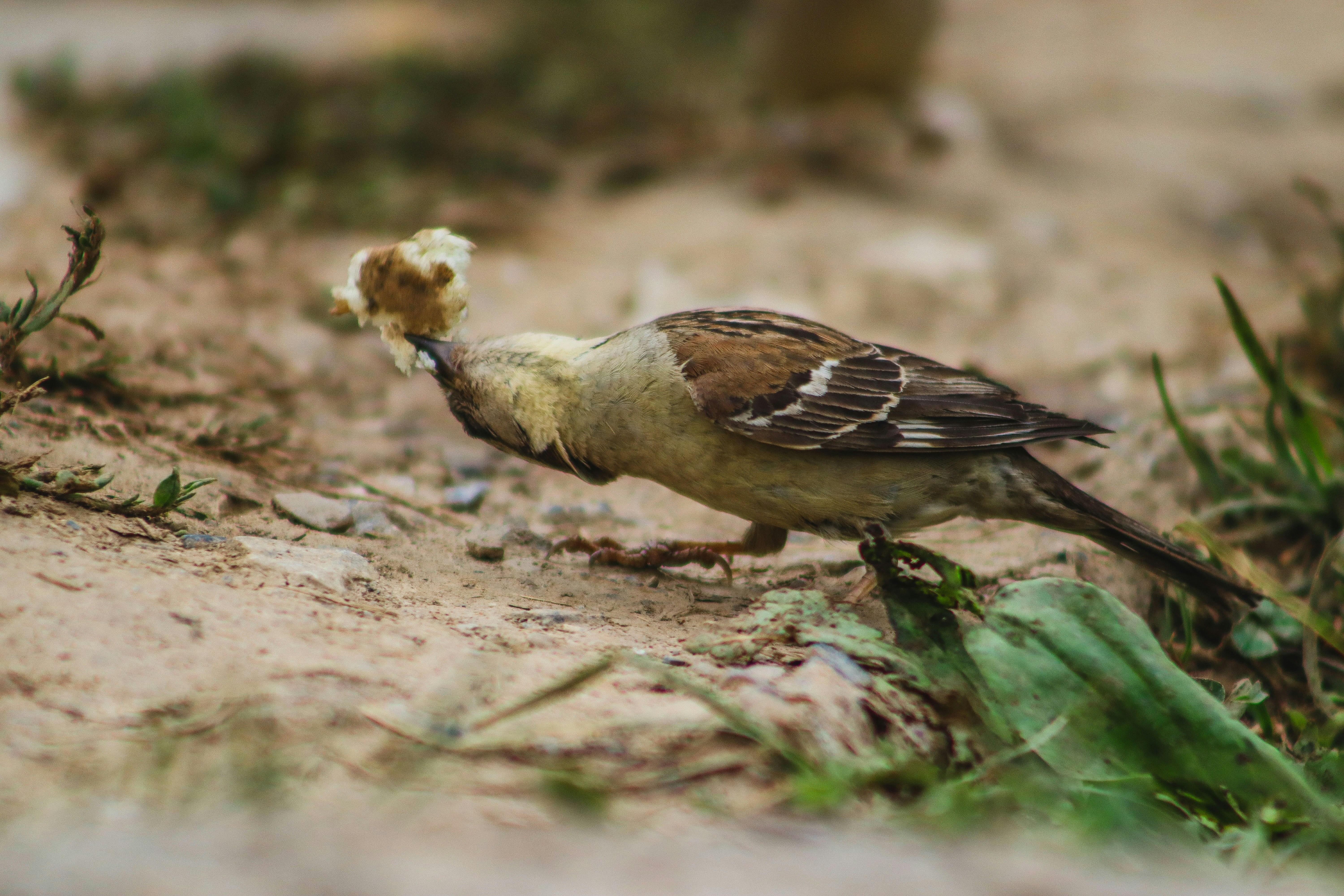 Photo by drphotographer152