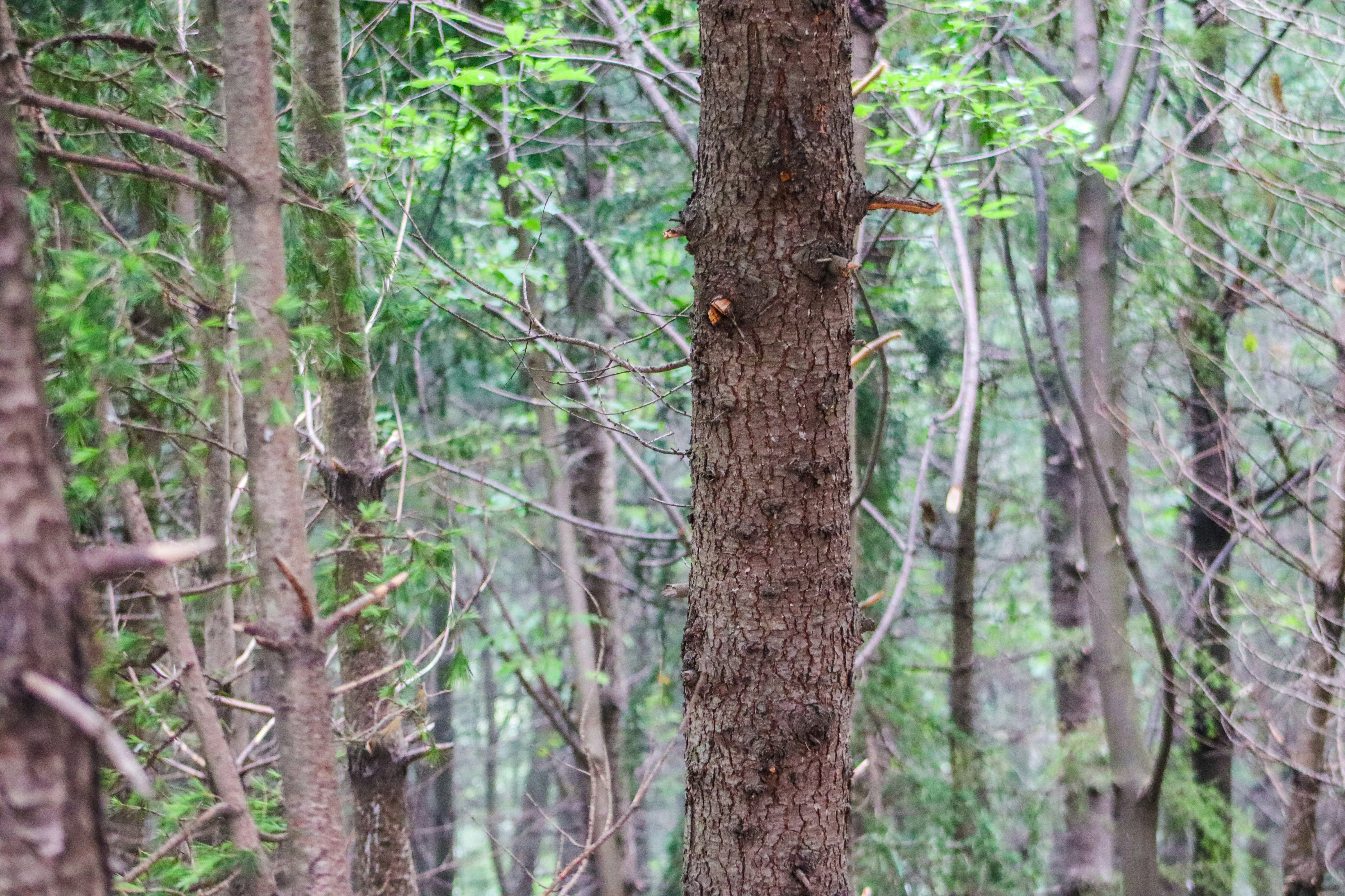 Photo by drphotographer152