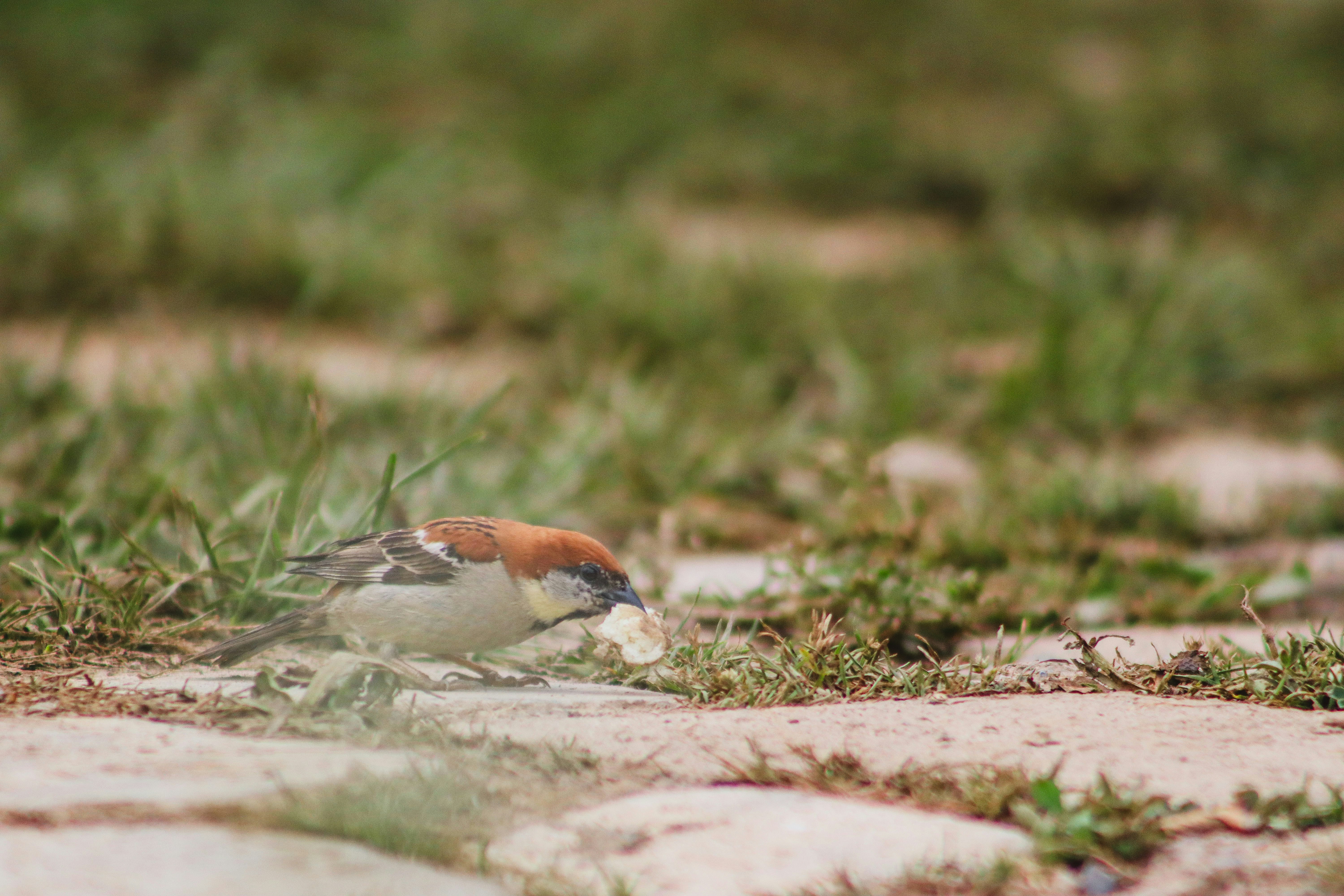 Photo by drphotographer152