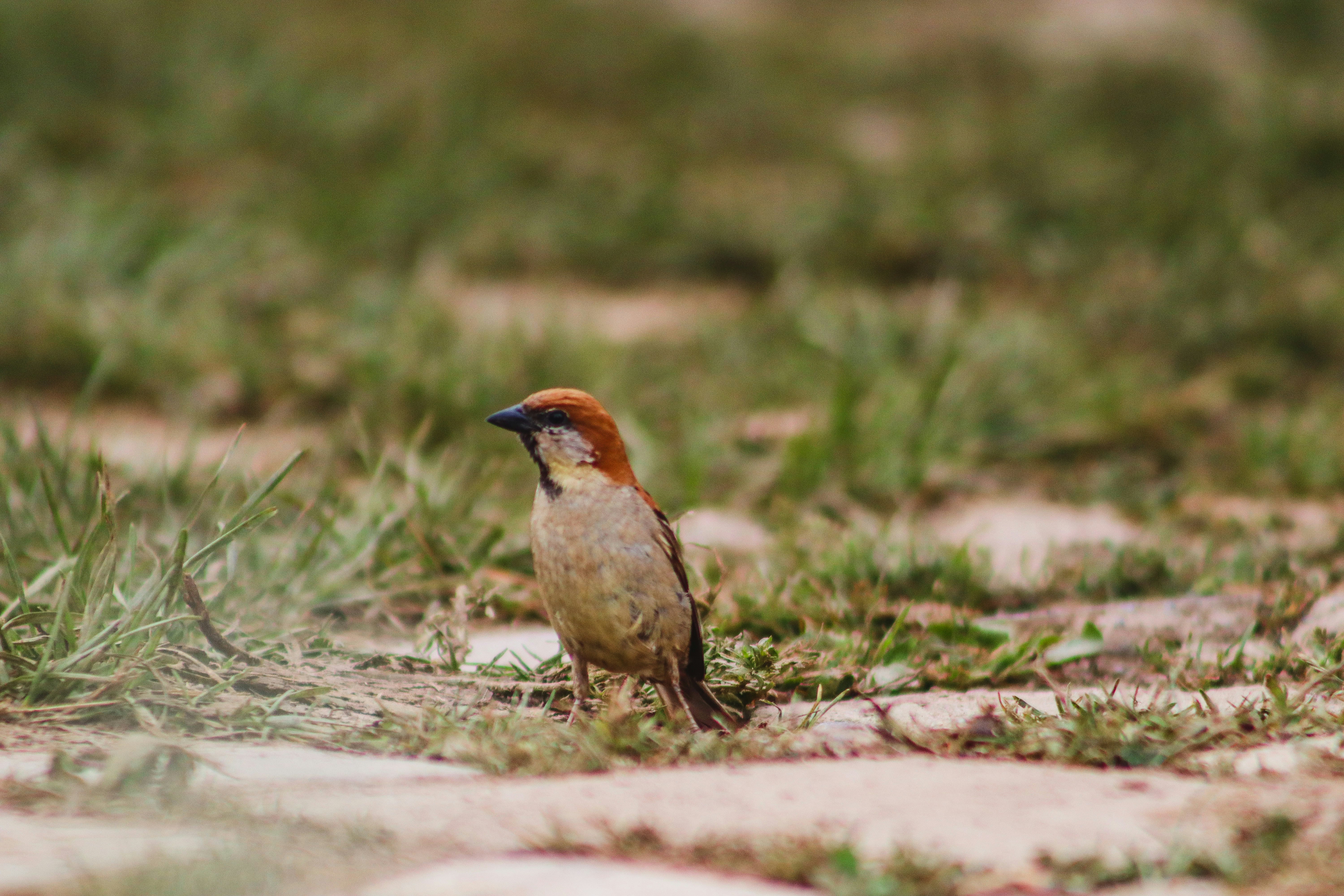 Photo by drphotographer152