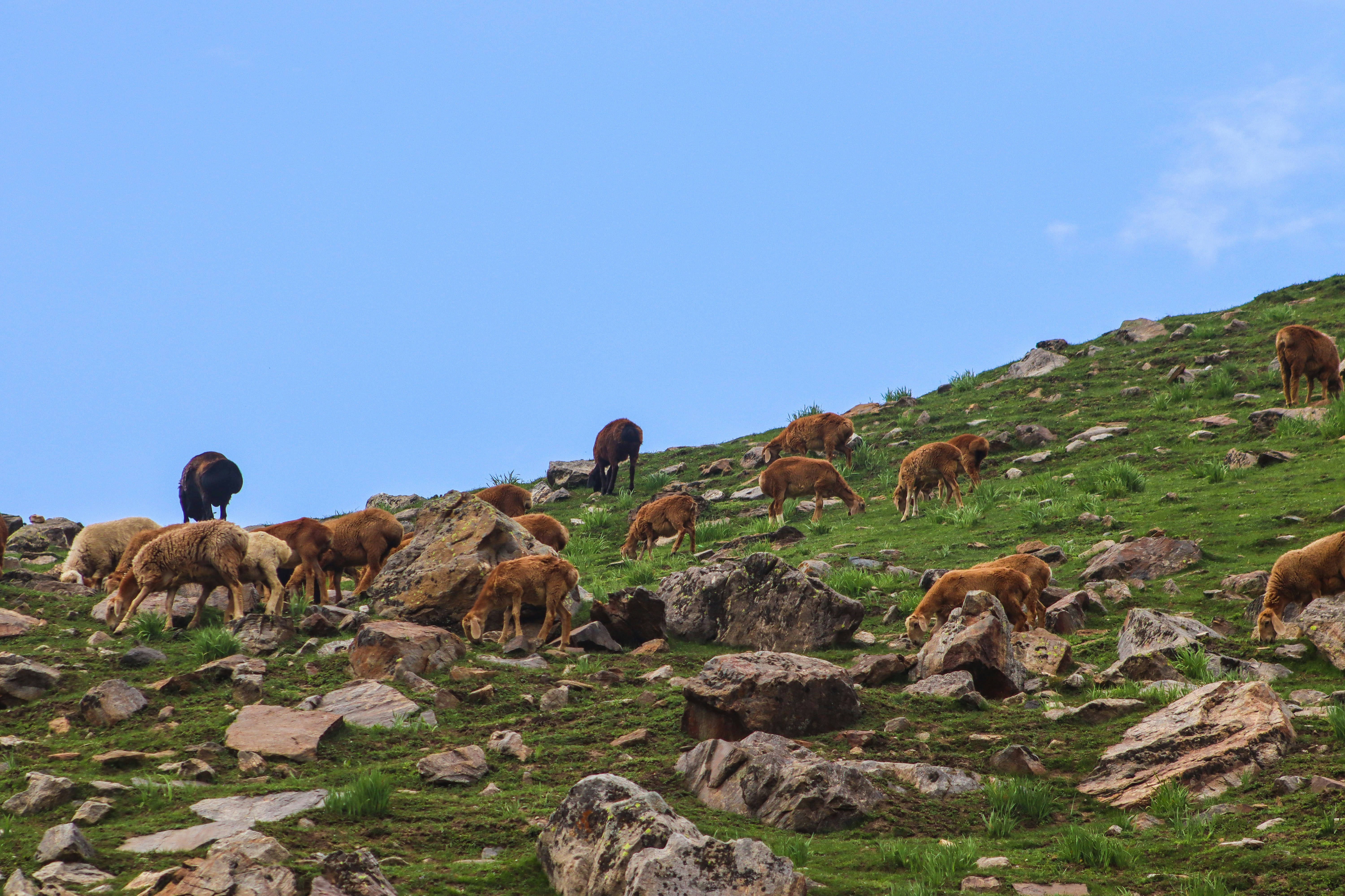 Altitude and Elevation Strategies (image credits: unsplash)