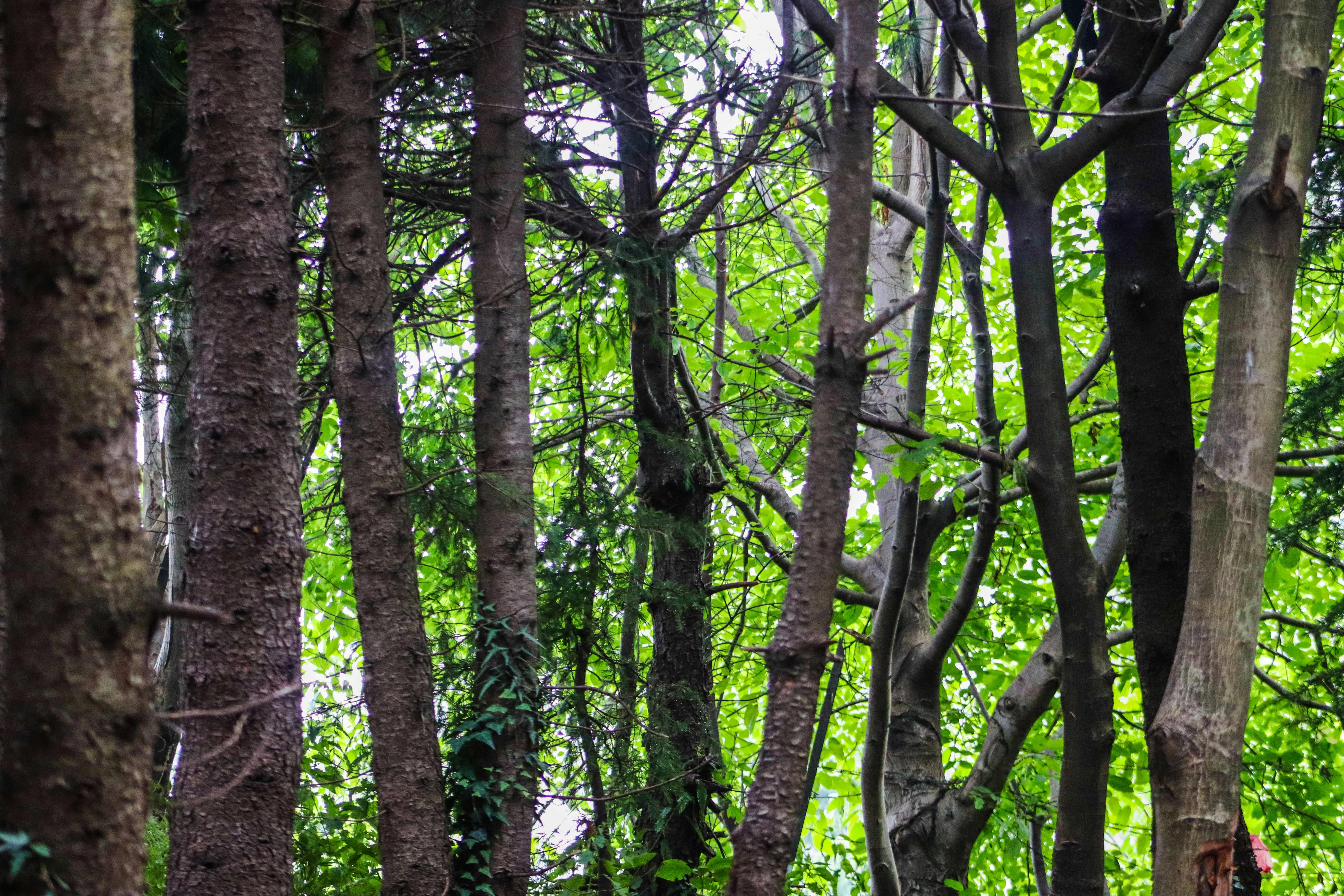 Photo by drphotographer152