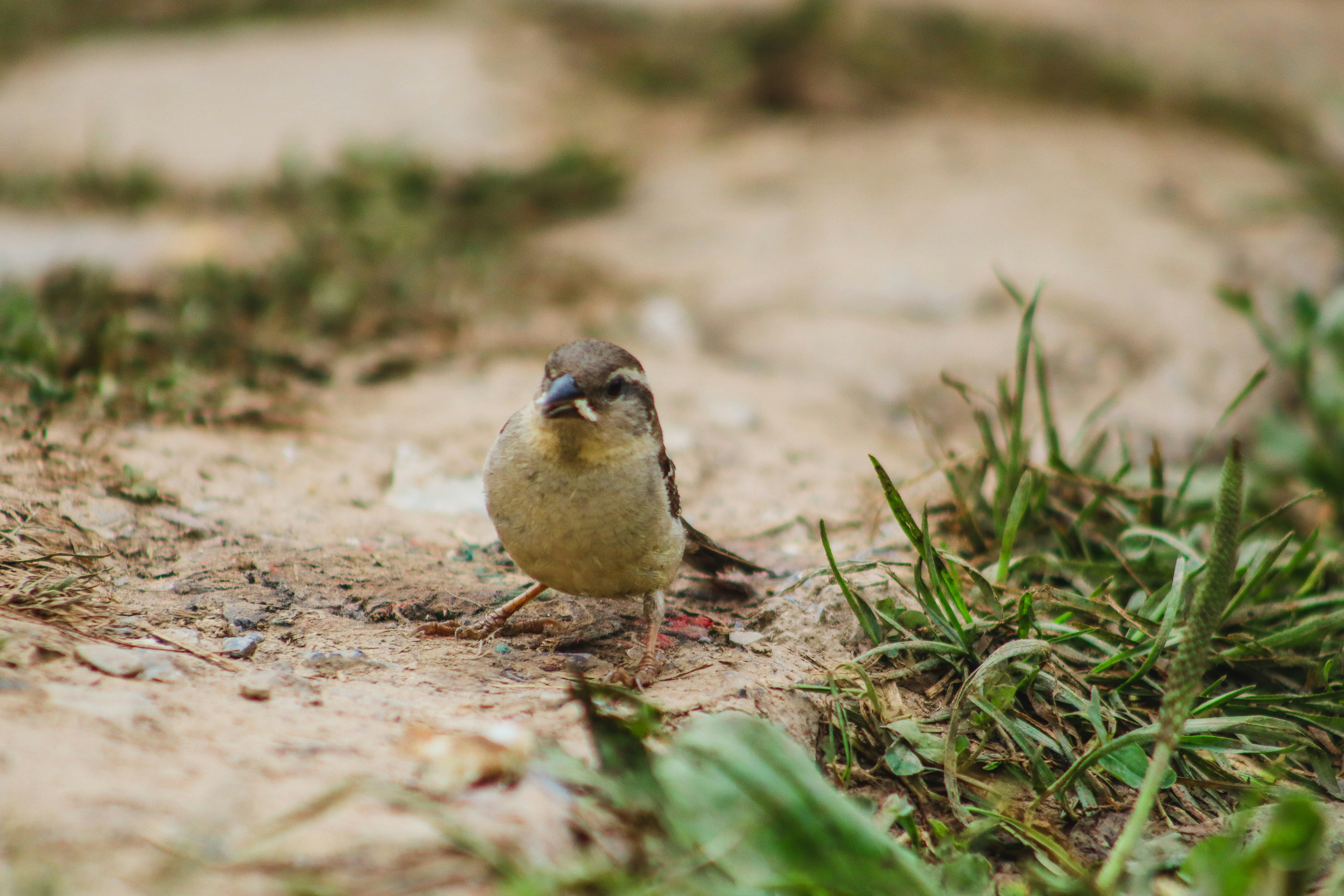 Photo by drphotographer152