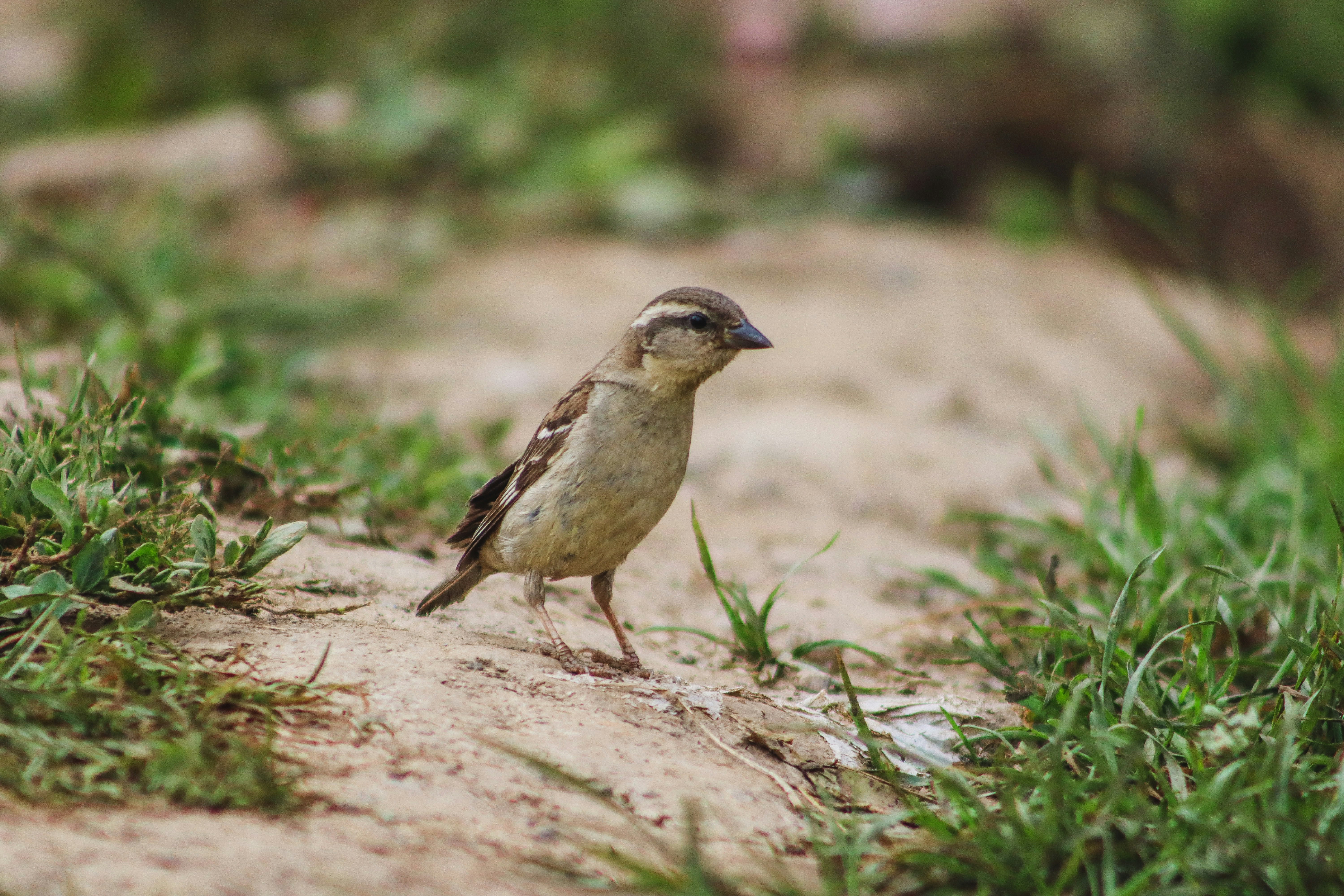 Photo by drphotographer152