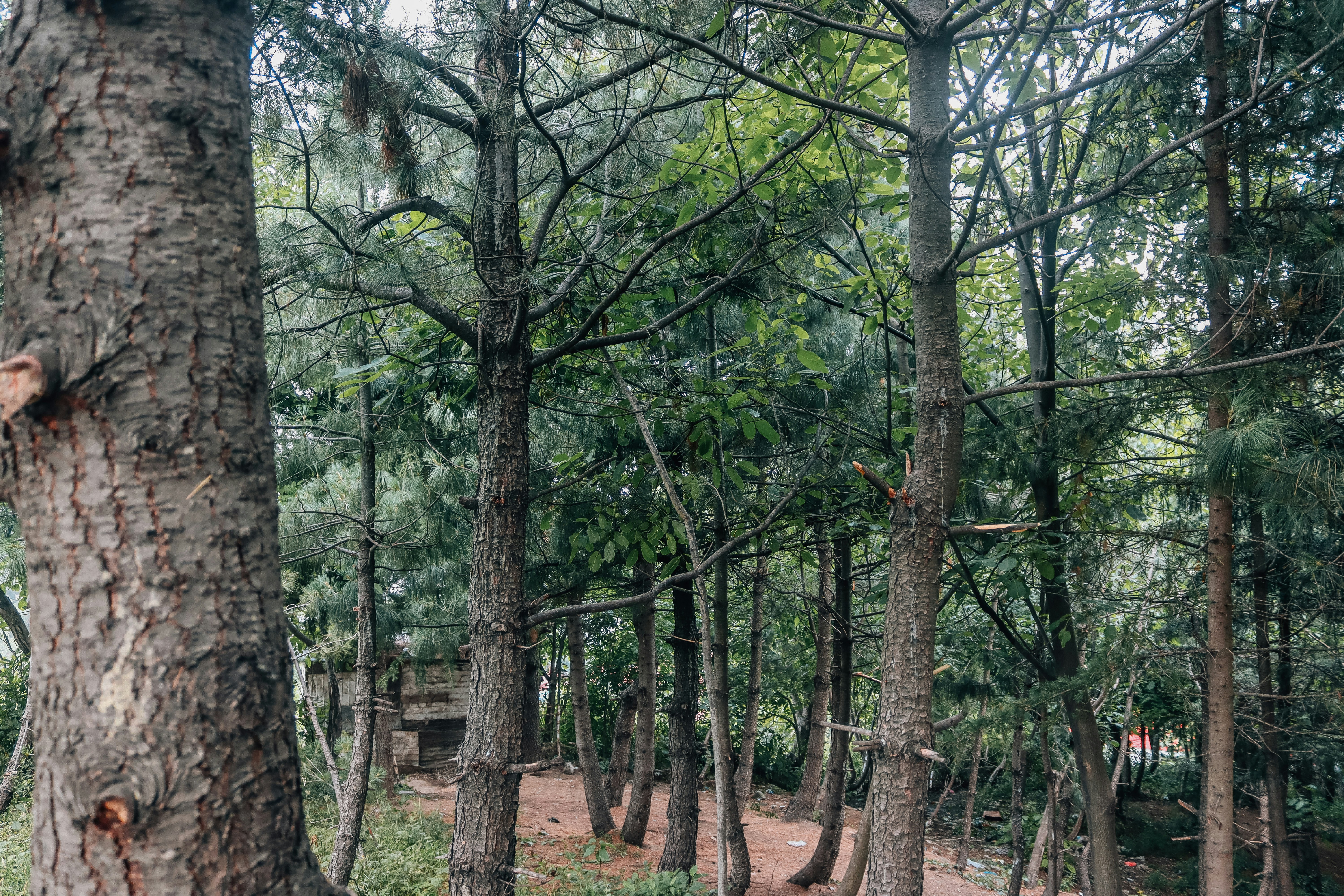 Photo by drphotographer152