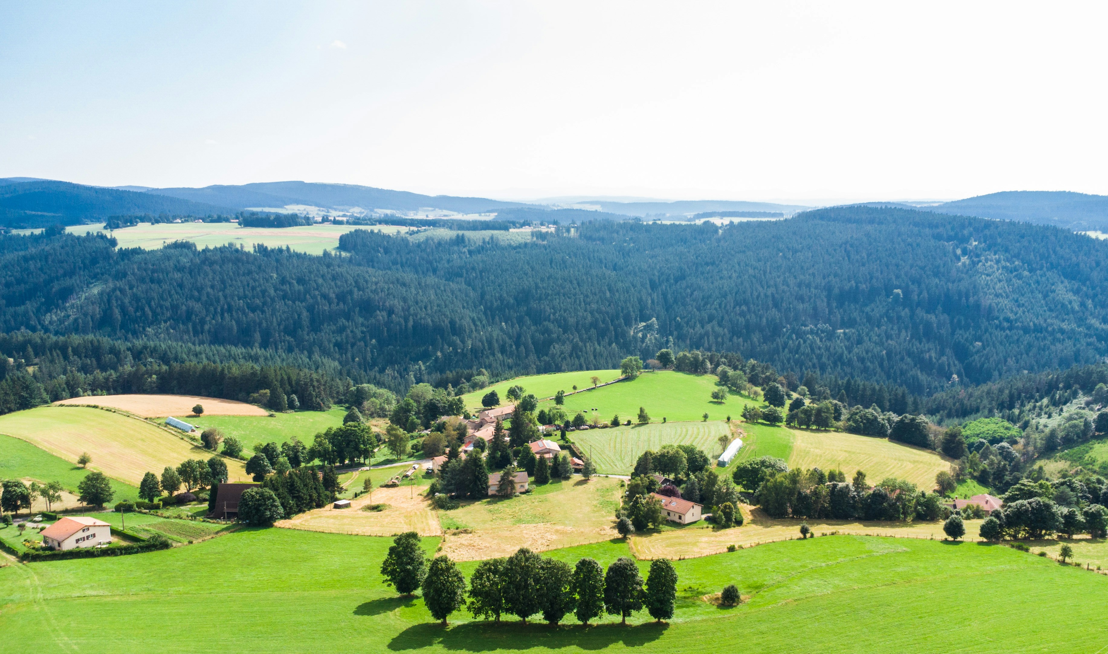 An aerial view of a lush green valley