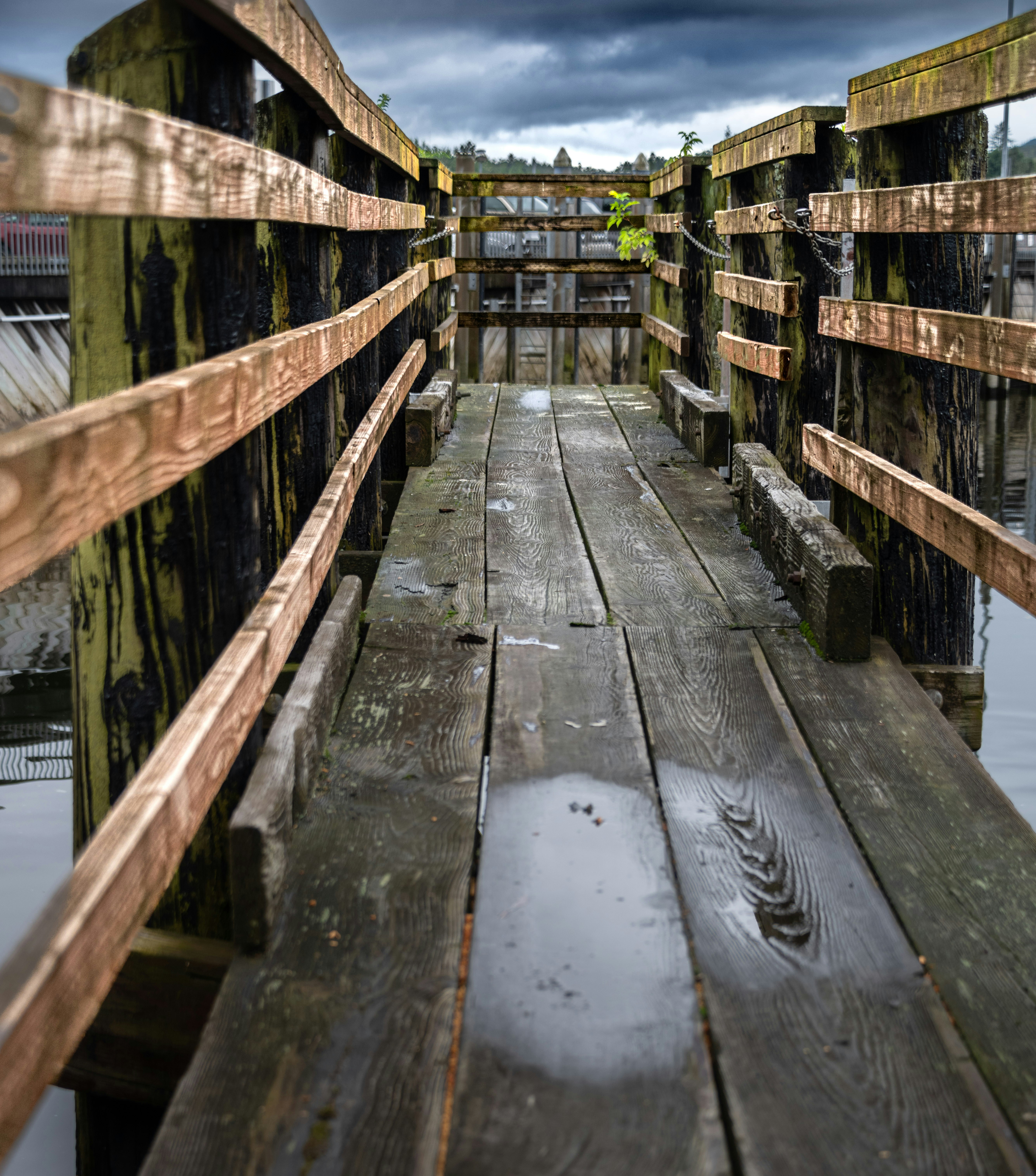A wooden bridge over a body of water