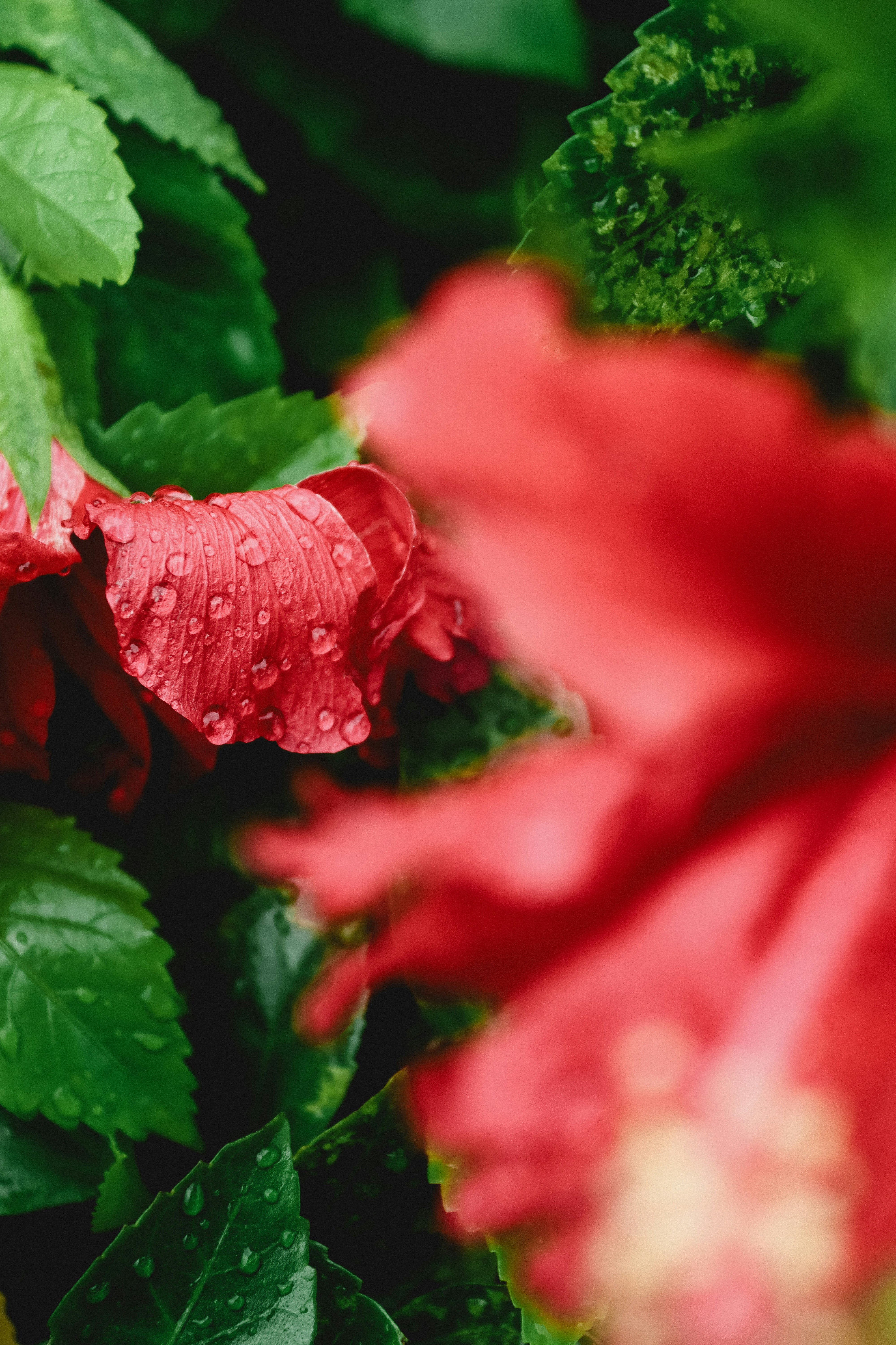 Photo by drphotographer152