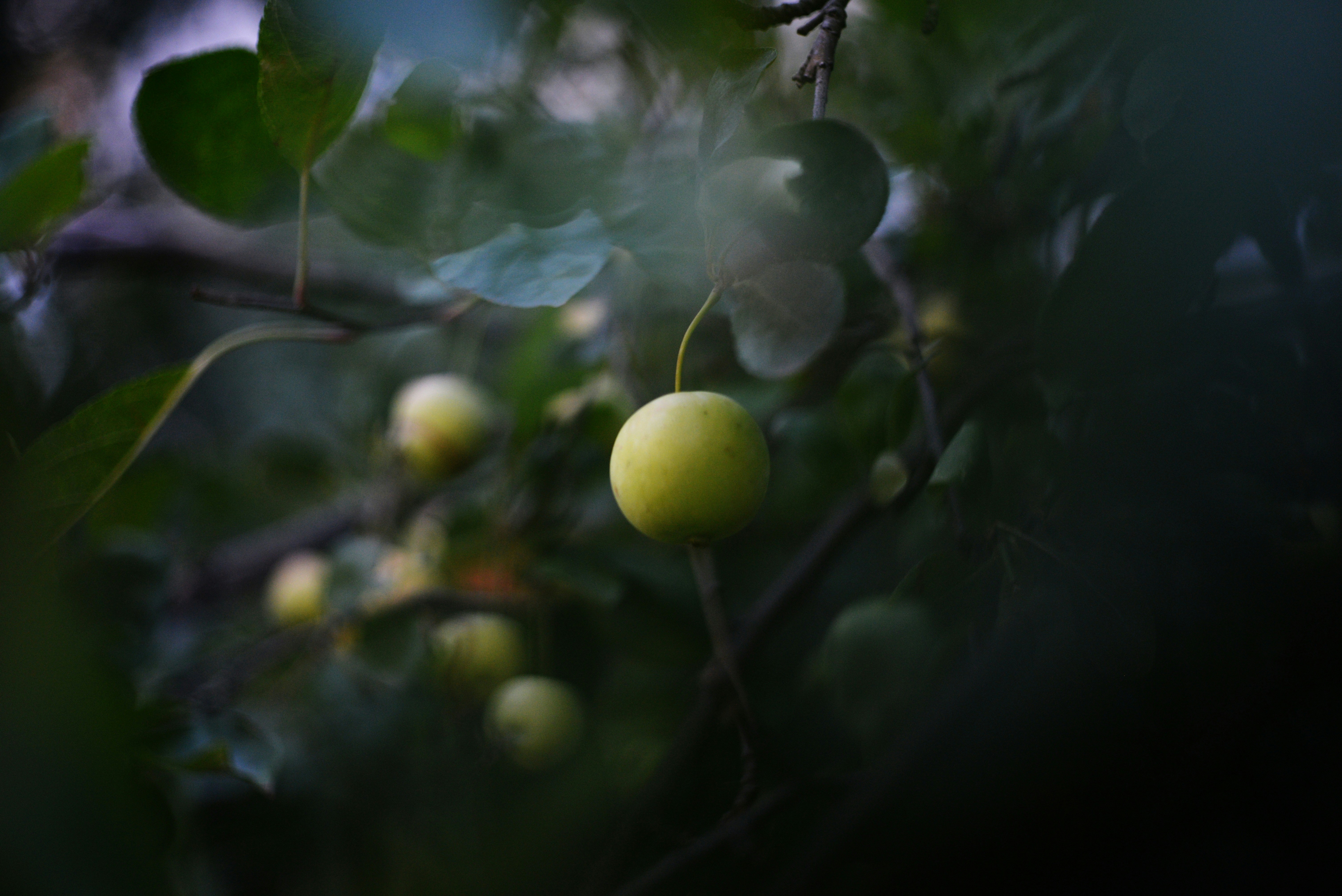 2024.56 Post feature image