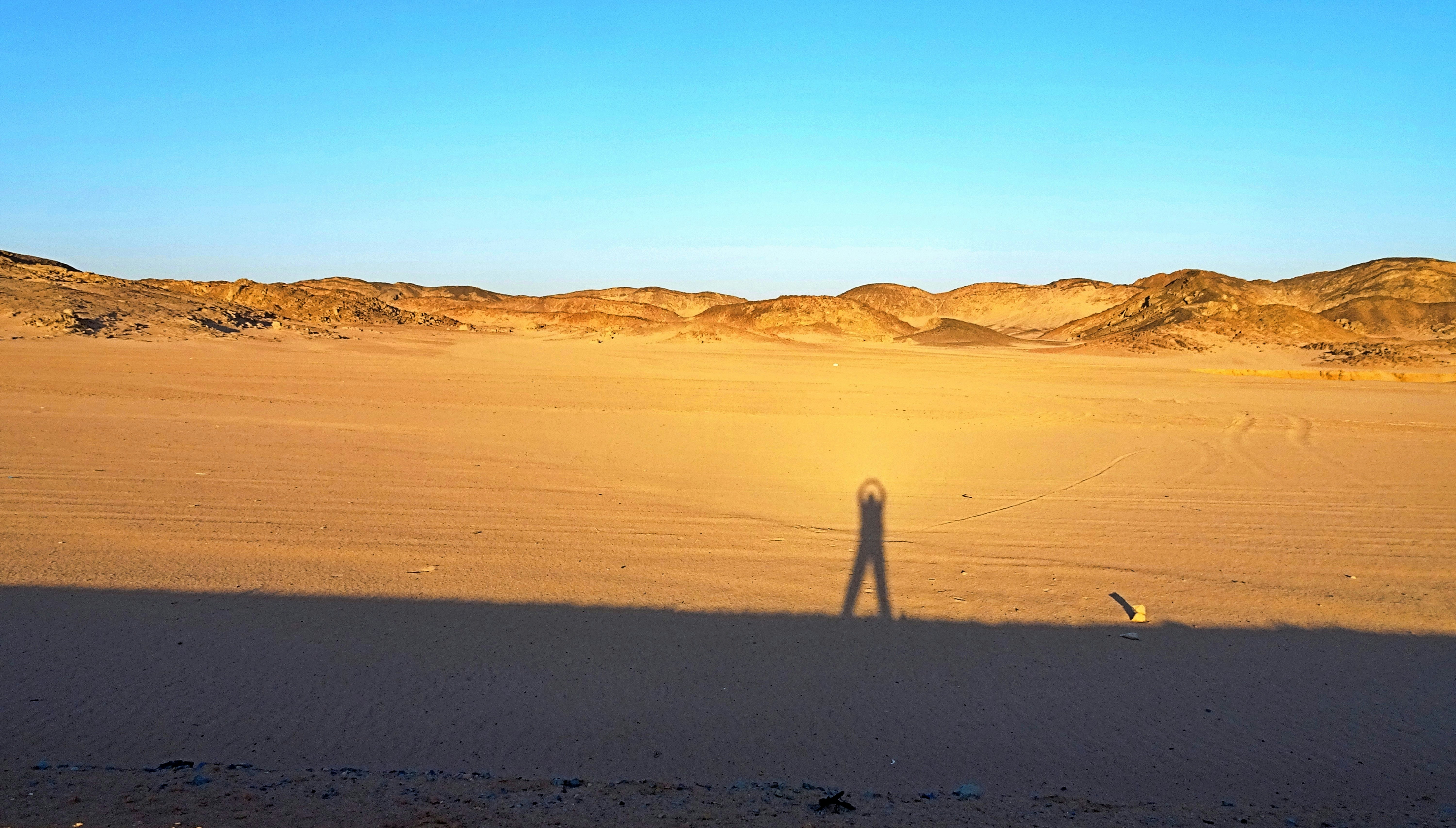 Photo by daniela_shams