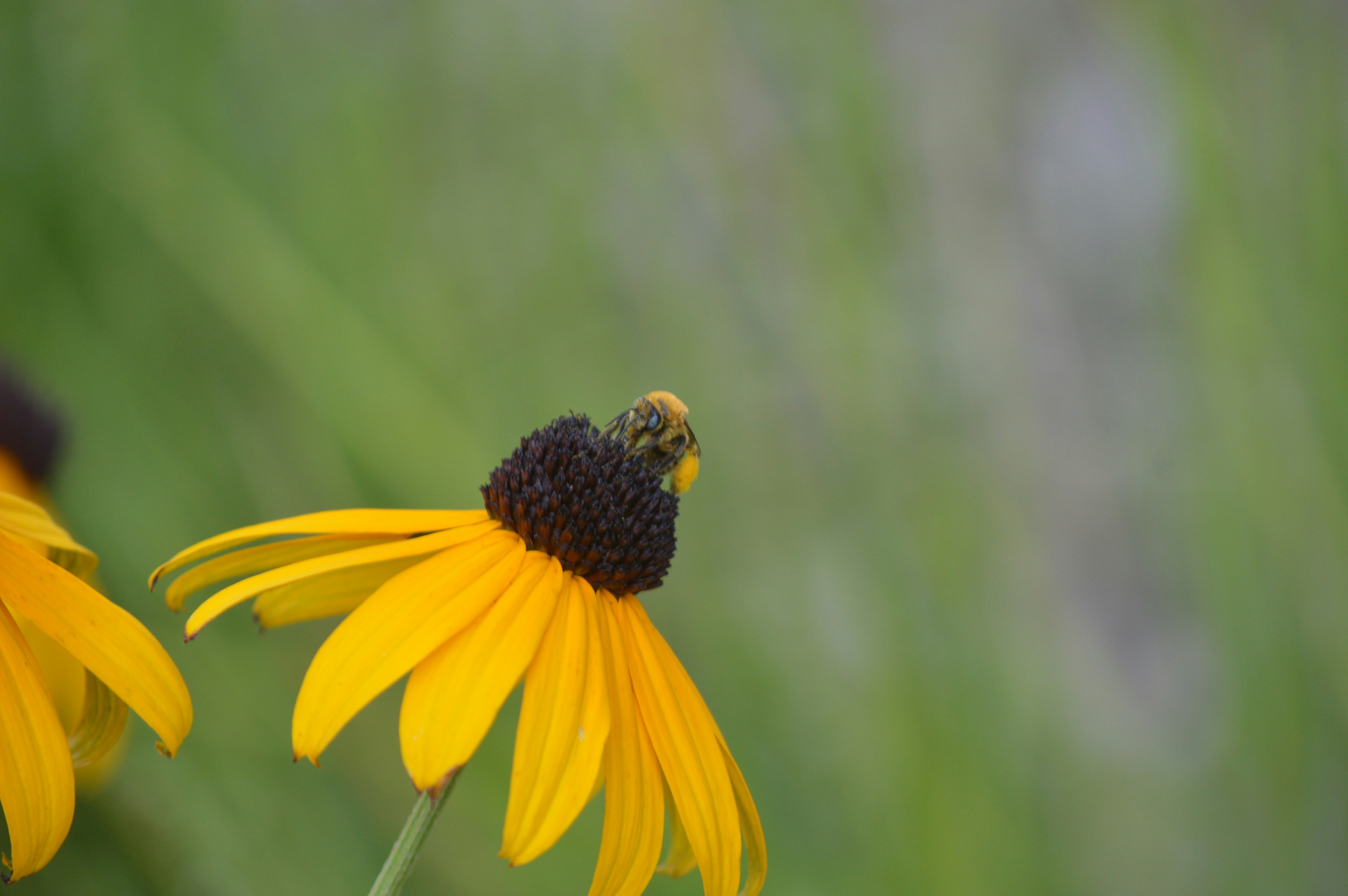 Photo by christopherclass