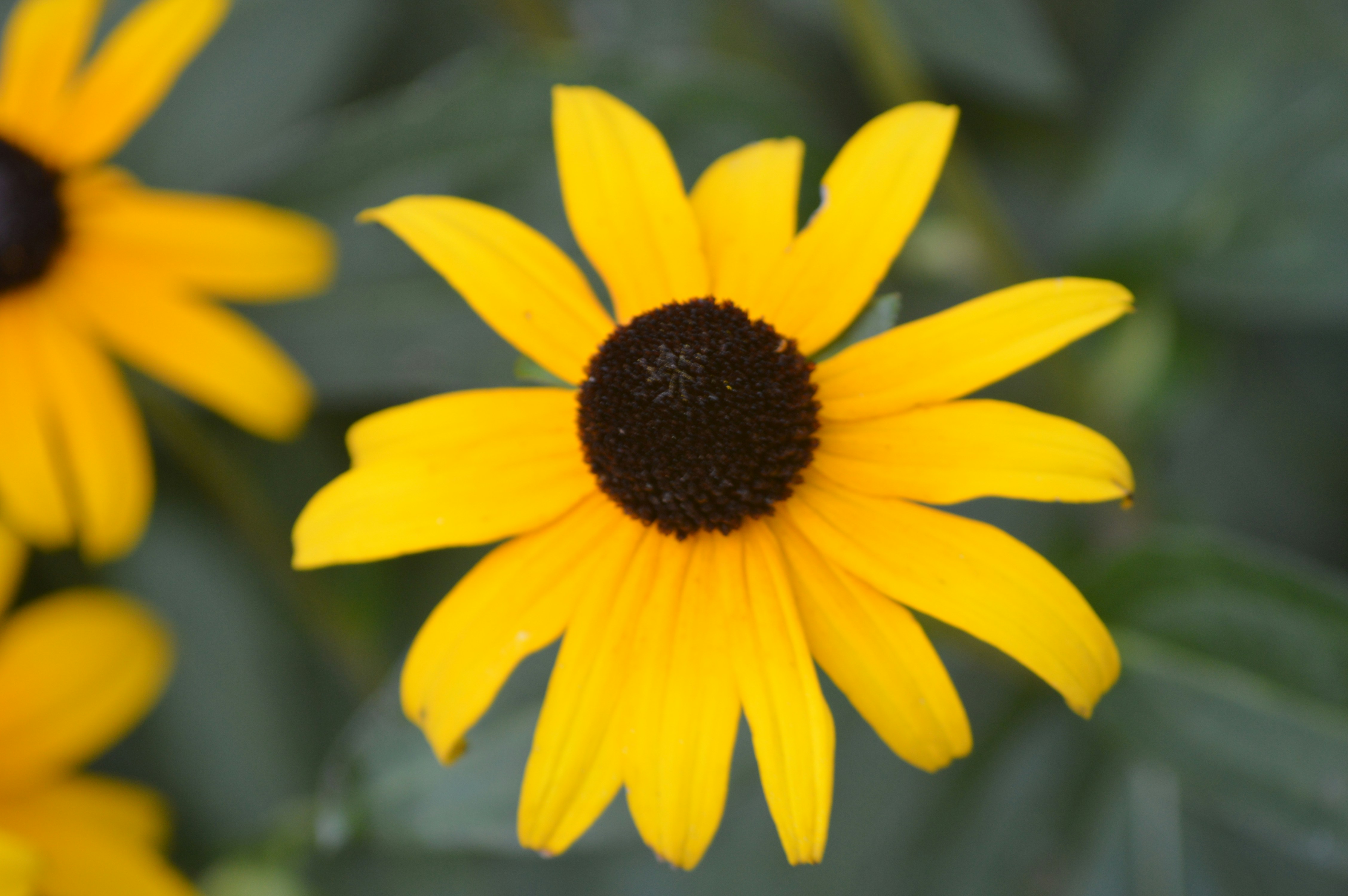 Photo by christopherclass