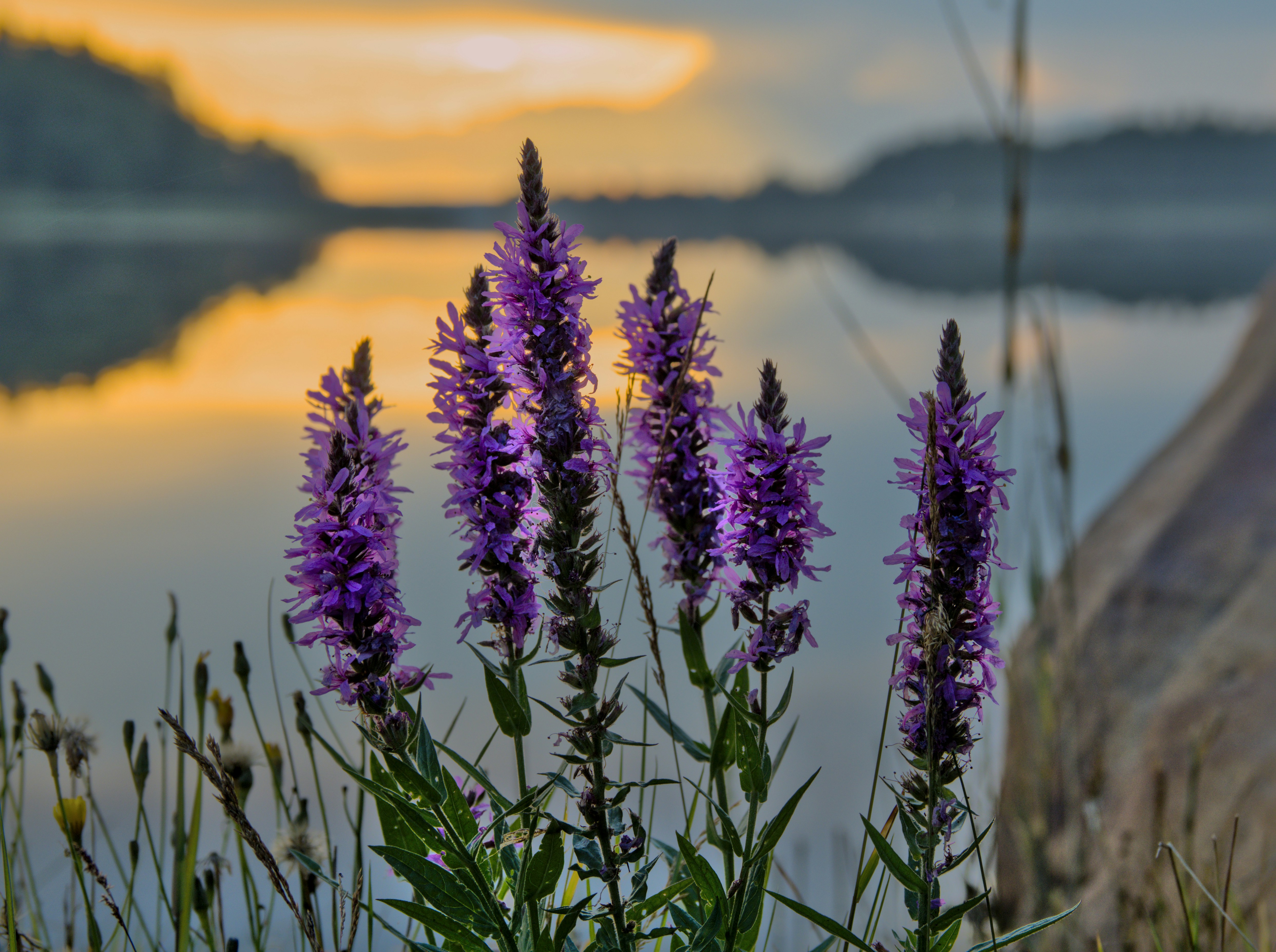How Hydrology Changes Everything (image credits: unsplash)