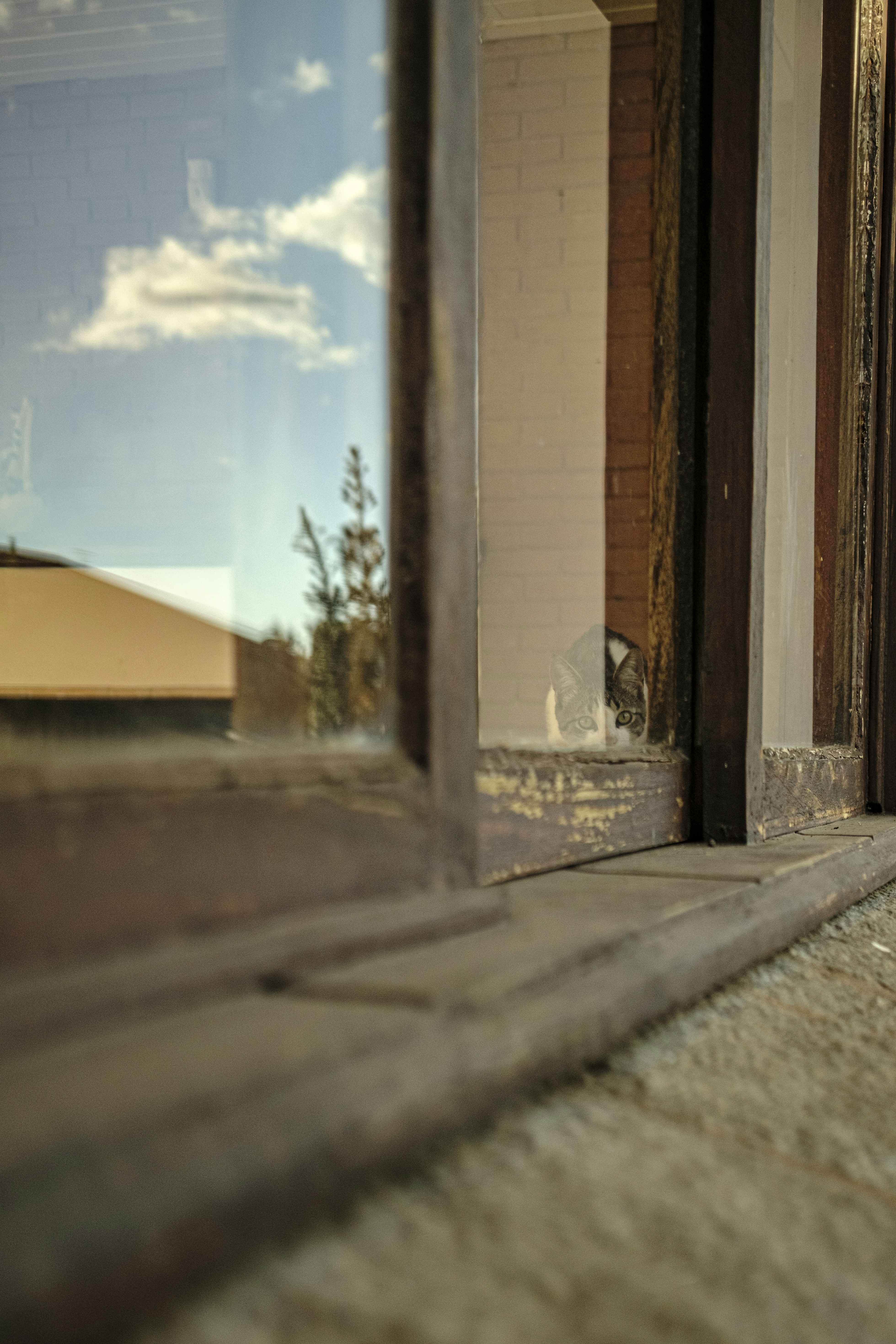 weather stripping installation